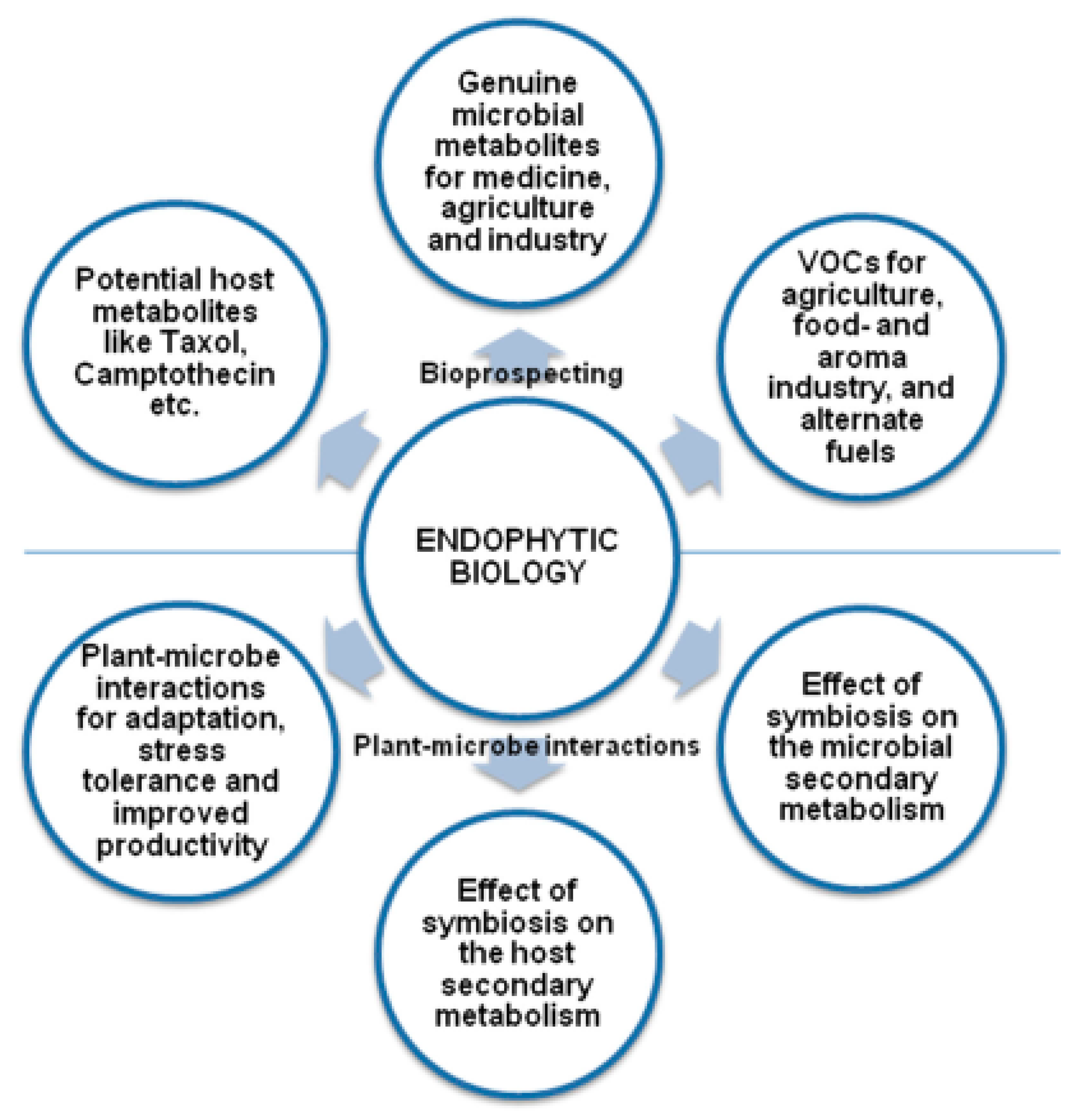 Molecules 23 02586 g001