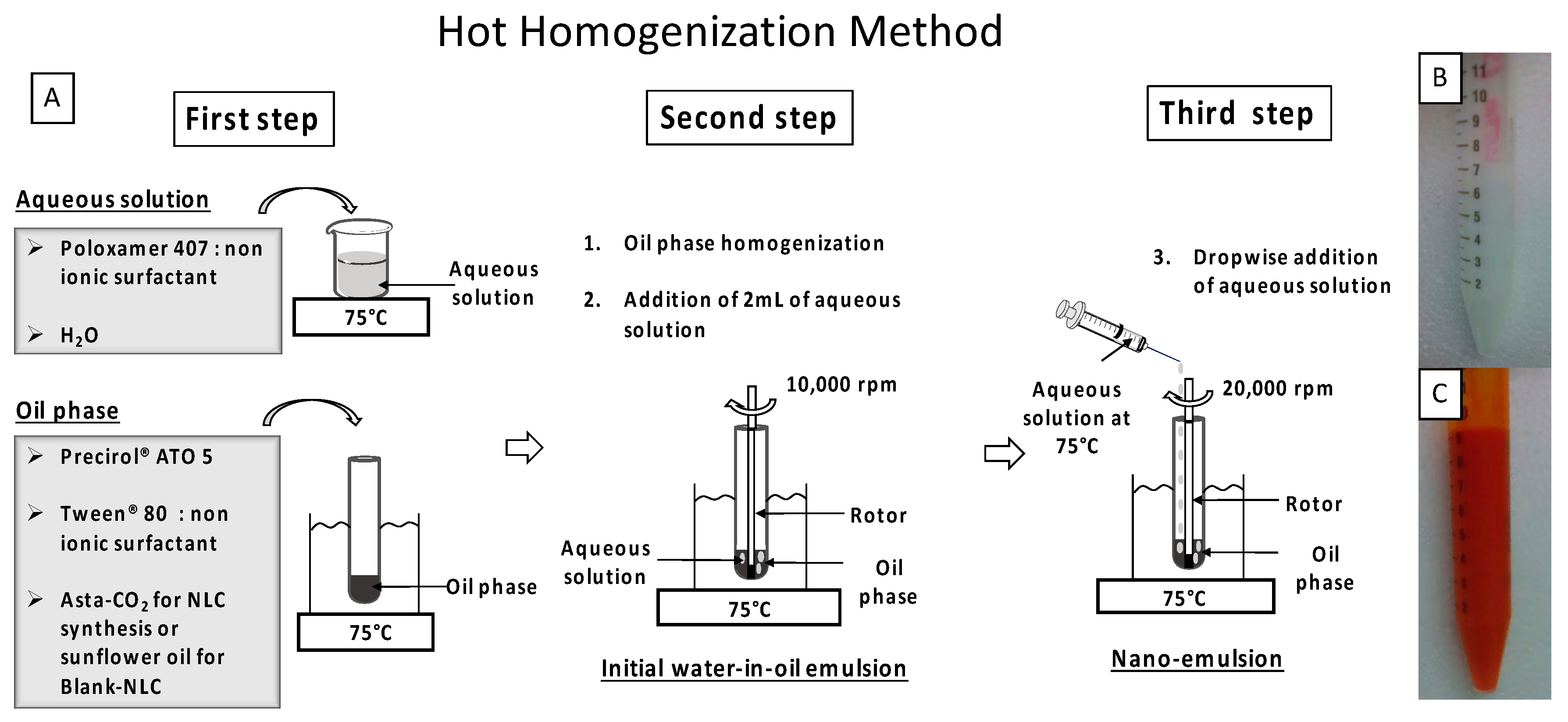 Molecules 23 02601 g001