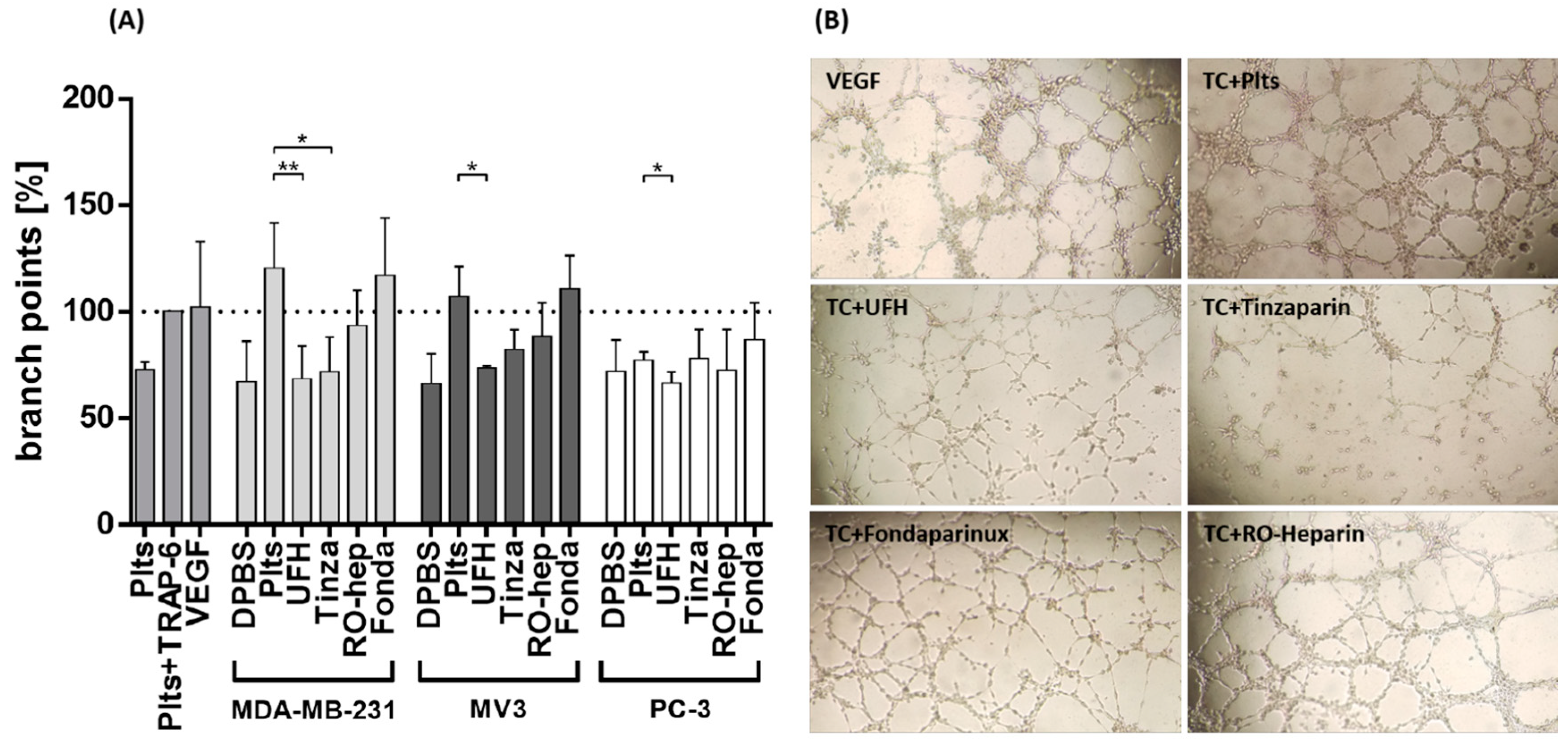 Molecules 23 02753 g006