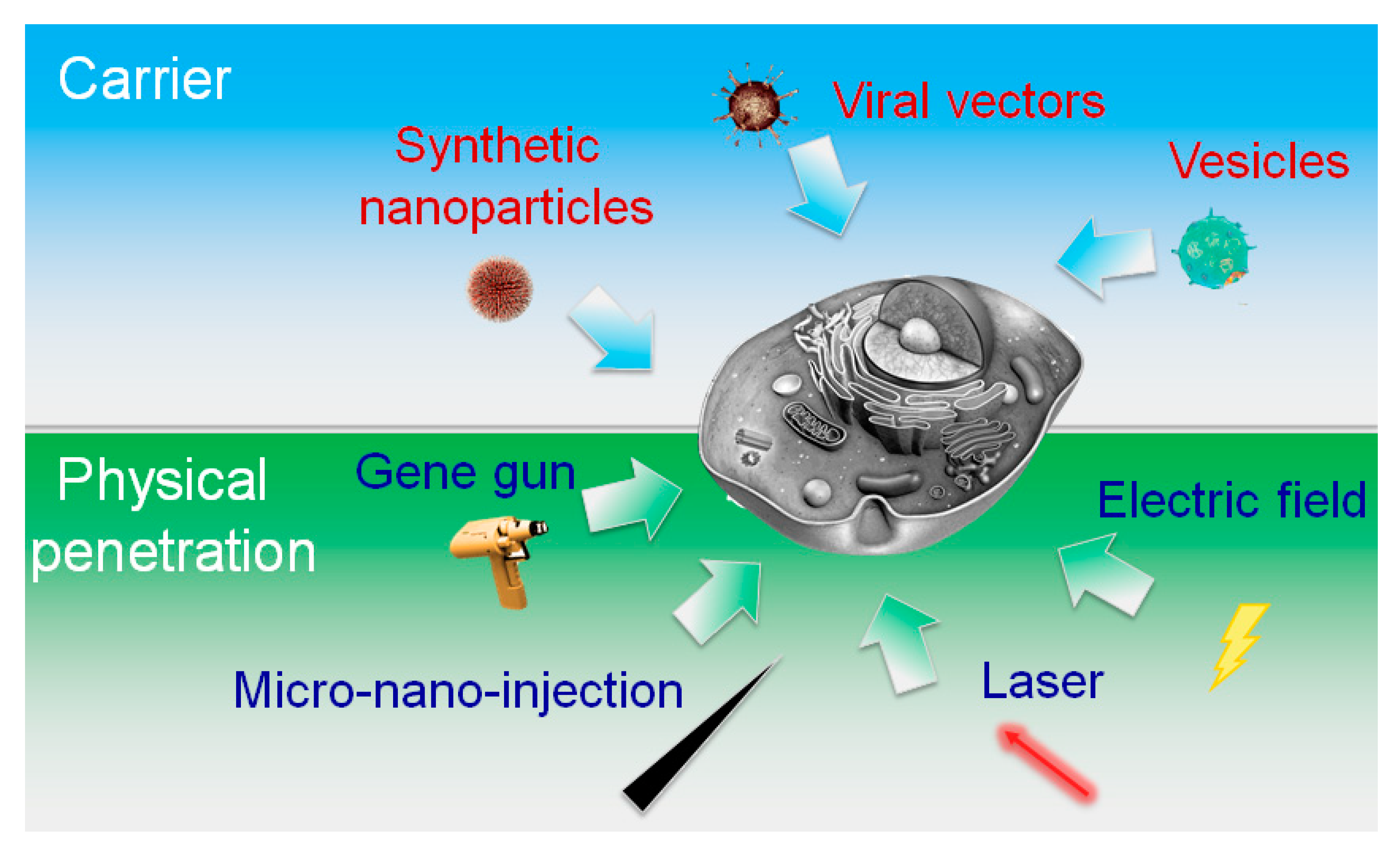 Molecules 23 03044 g002