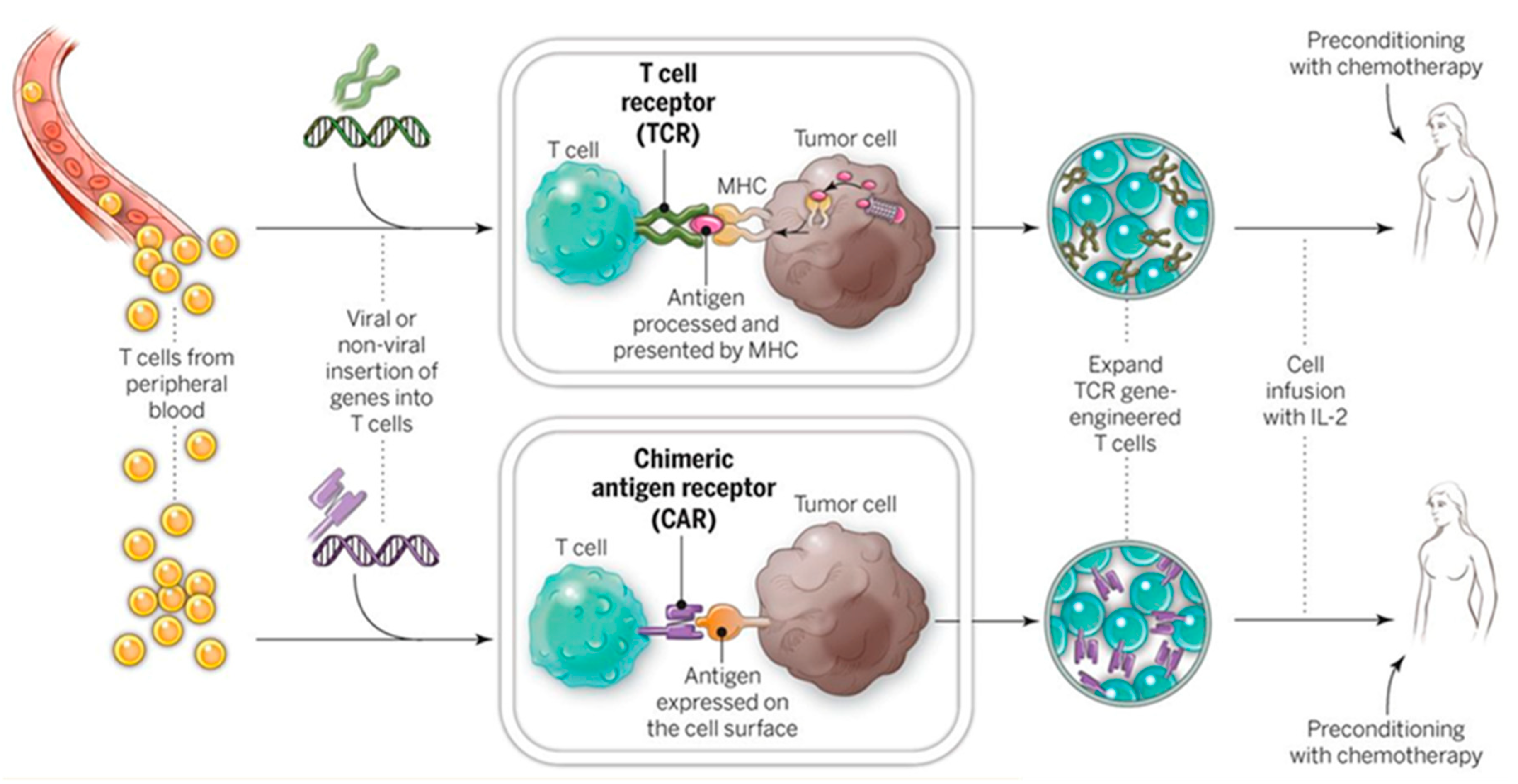 Molecules 23 03044 g009