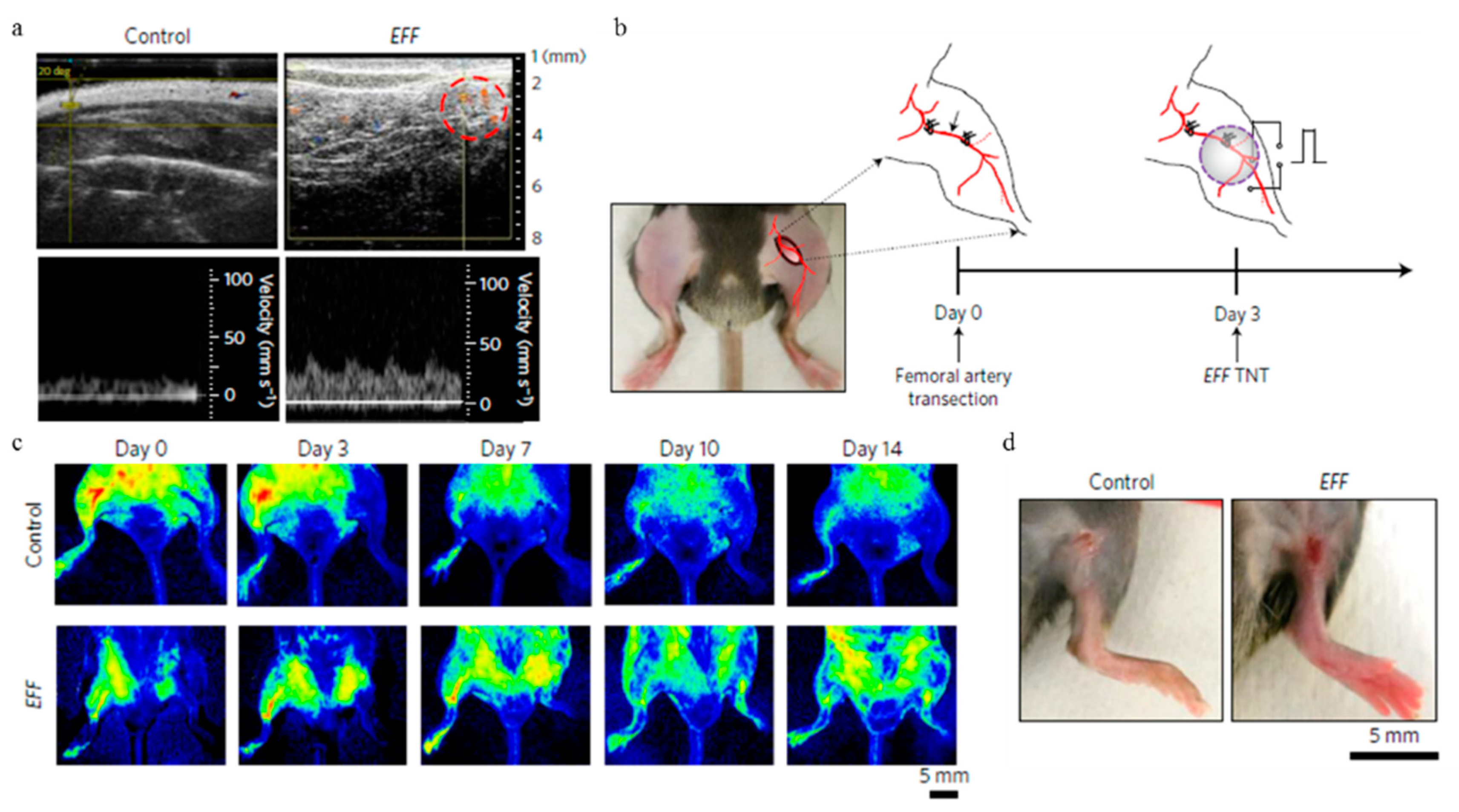 Molecules 23 03044 g010
