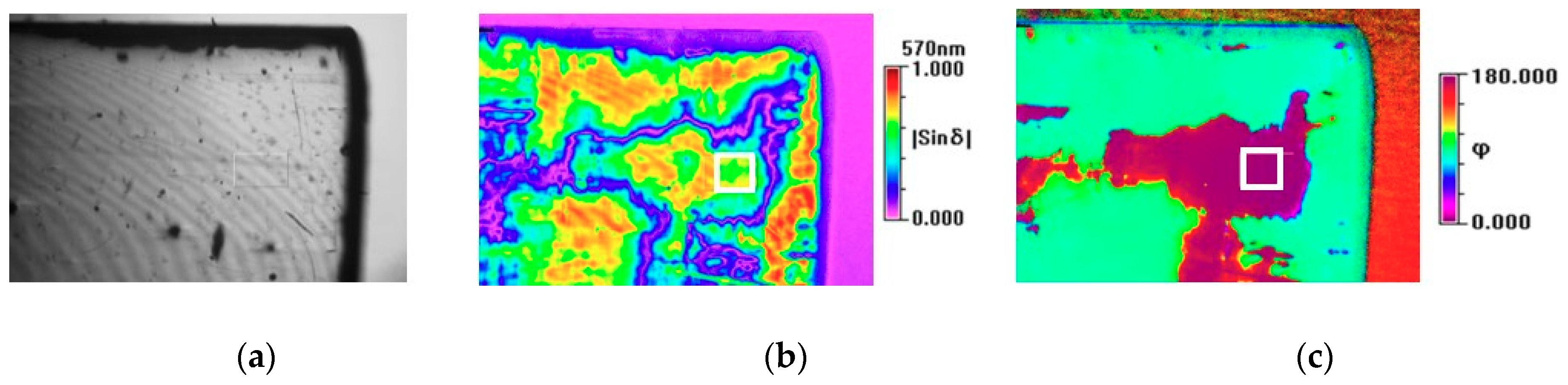 Molecules 23 03171 g005 Molecules 23 03171 g005