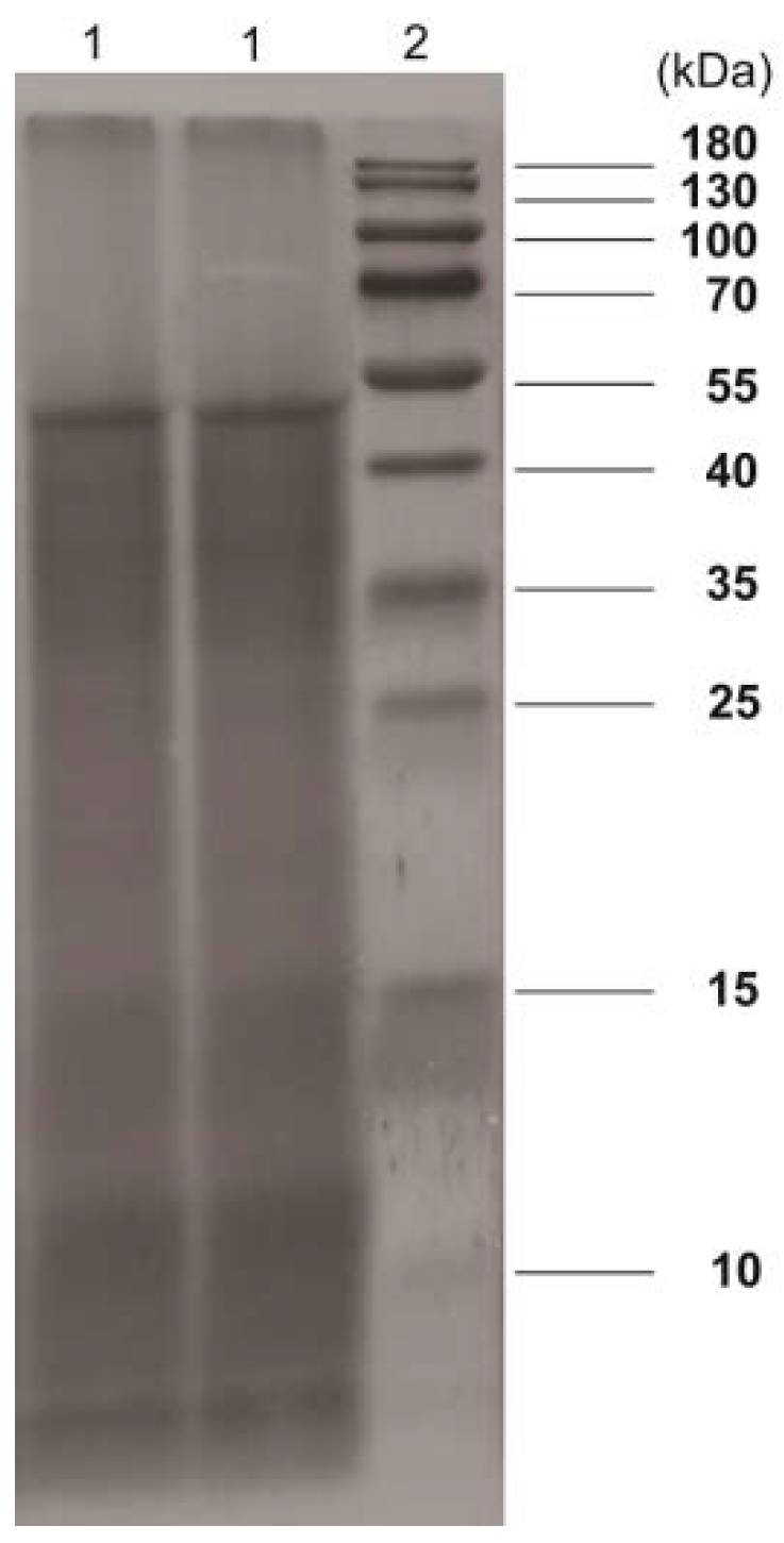Molecules 23 03235 g004 Molecules 23 03235 g004