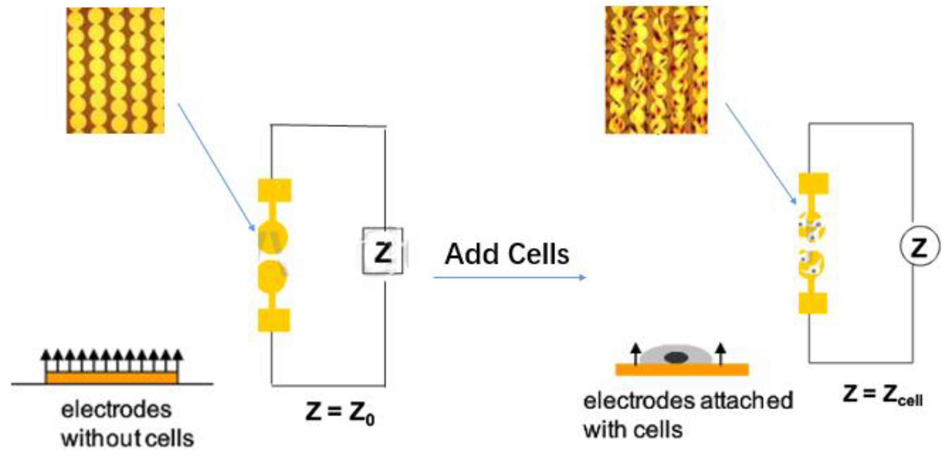 Molecules 23 03280 g001 Molecules 23 03280 g001