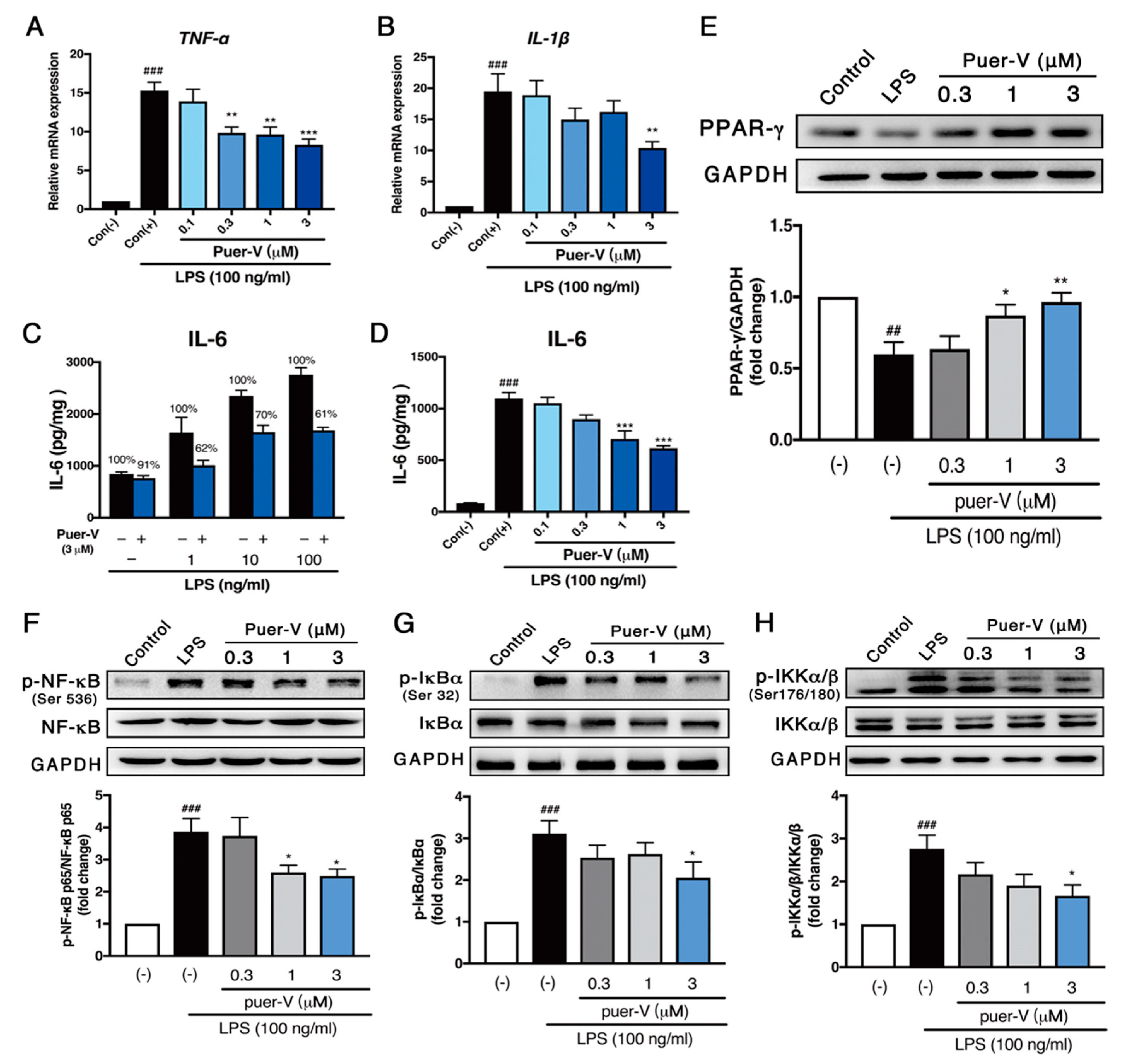 Molecules 23 03322 g007