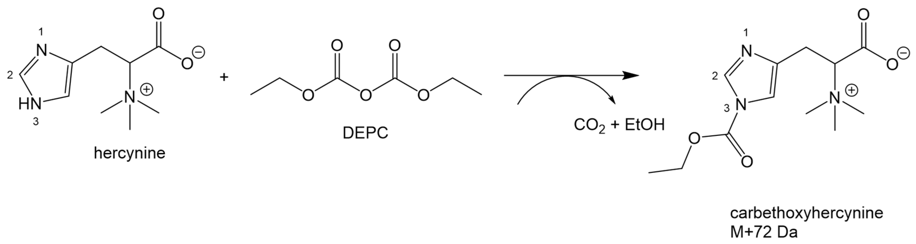 Molecules 23 03326 g003