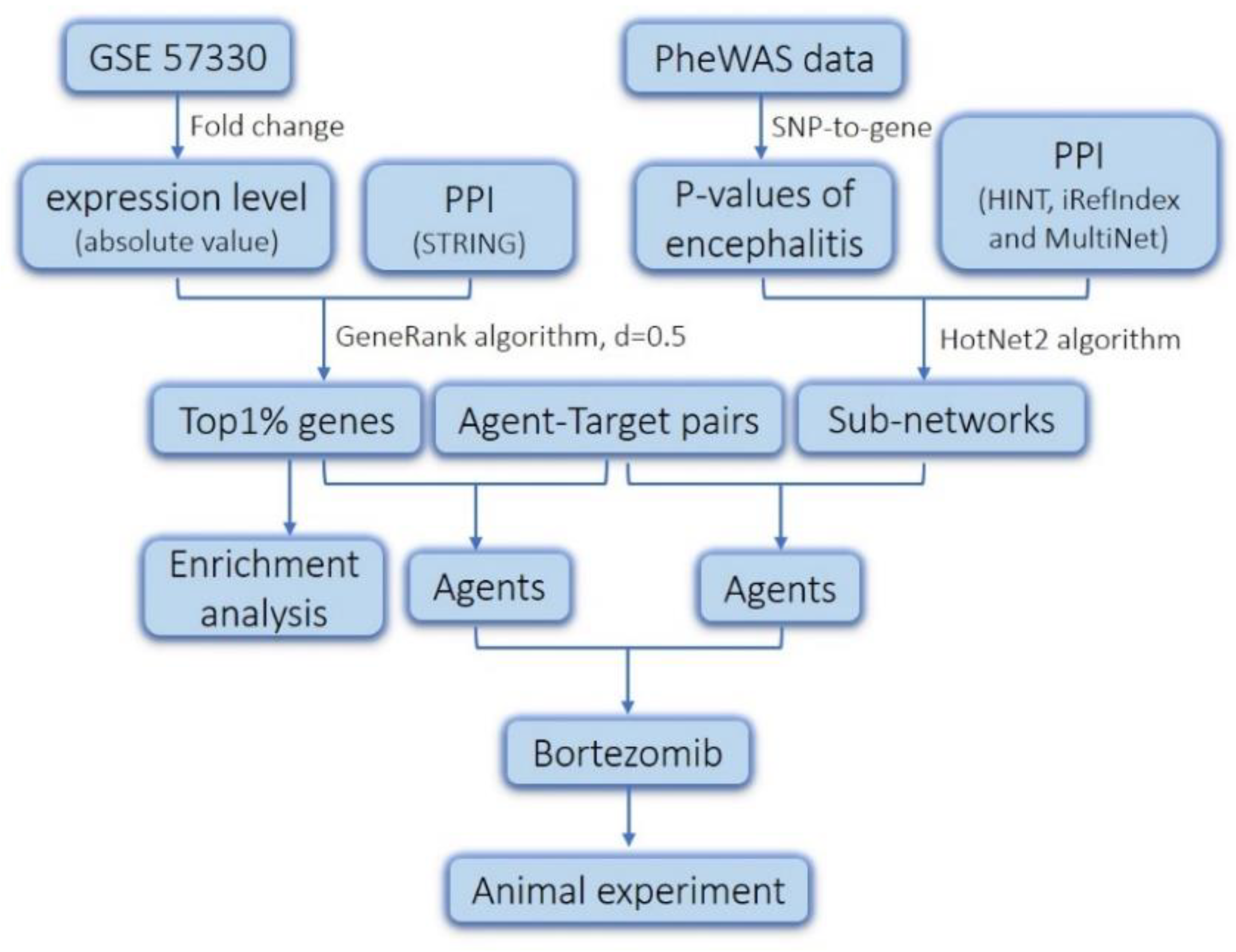 Molecules 23 03346 g001 Molecules 23 03346 g001