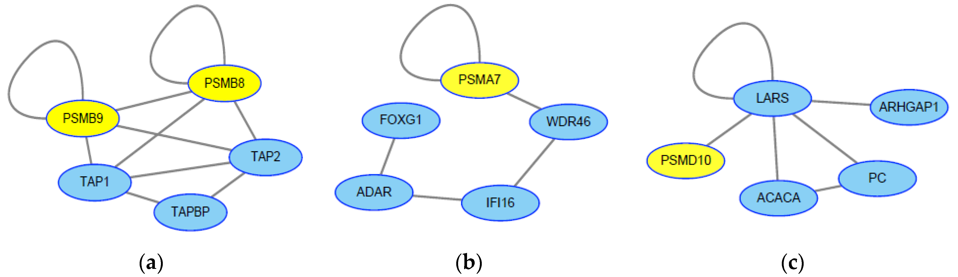 Molecules 23 03346 g004 Molecules 23 03346 g004