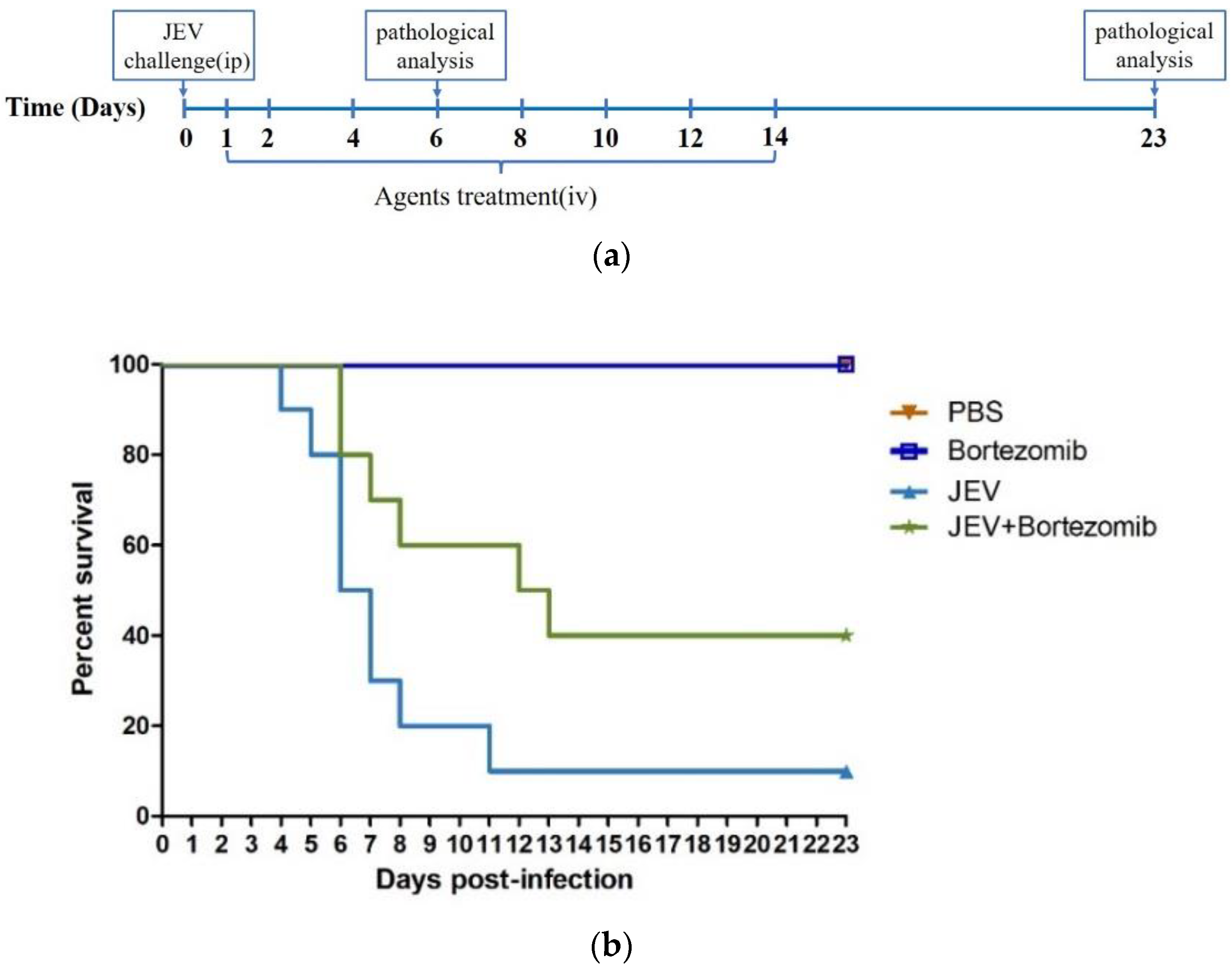 Molecules 23 03346 g005a Molecules 23 03346 g005a