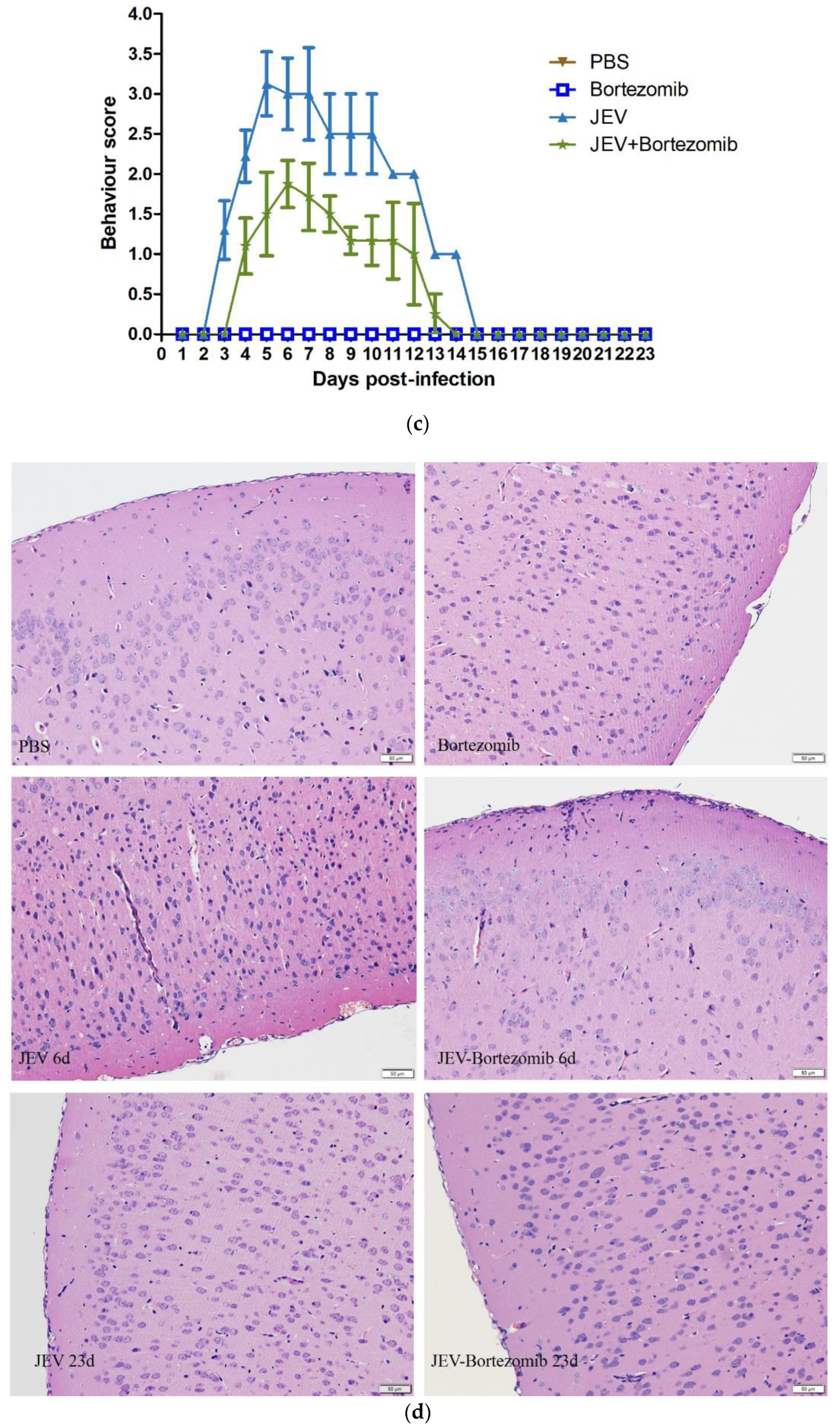 Molecules 23 03346 g005b Molecules 23 03346 g005b