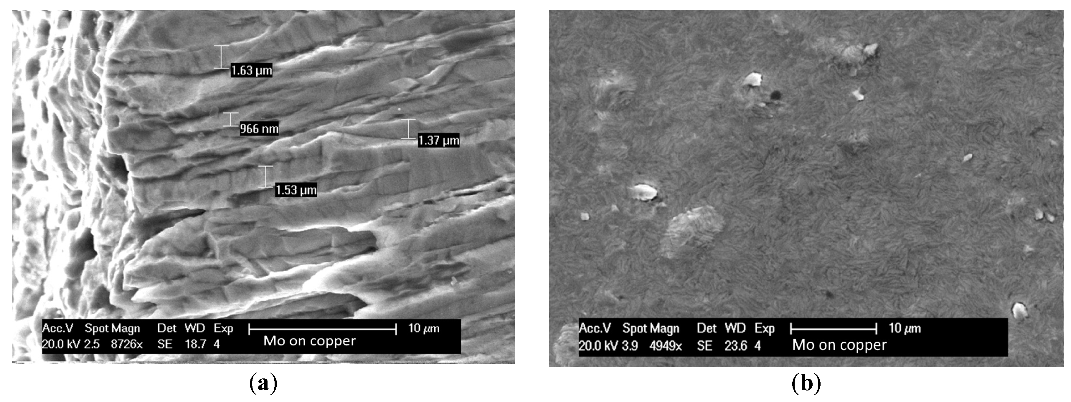 Molecules 24 00025 g008