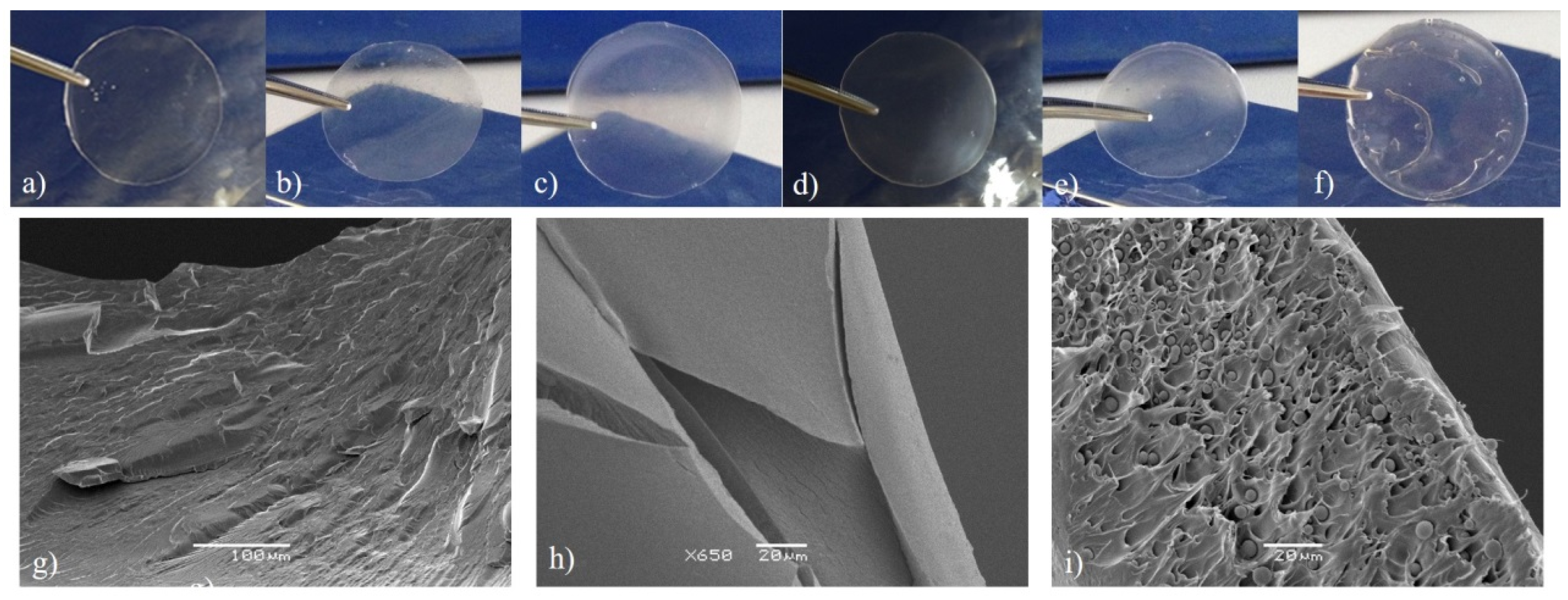 Molecules 24 00040 g002