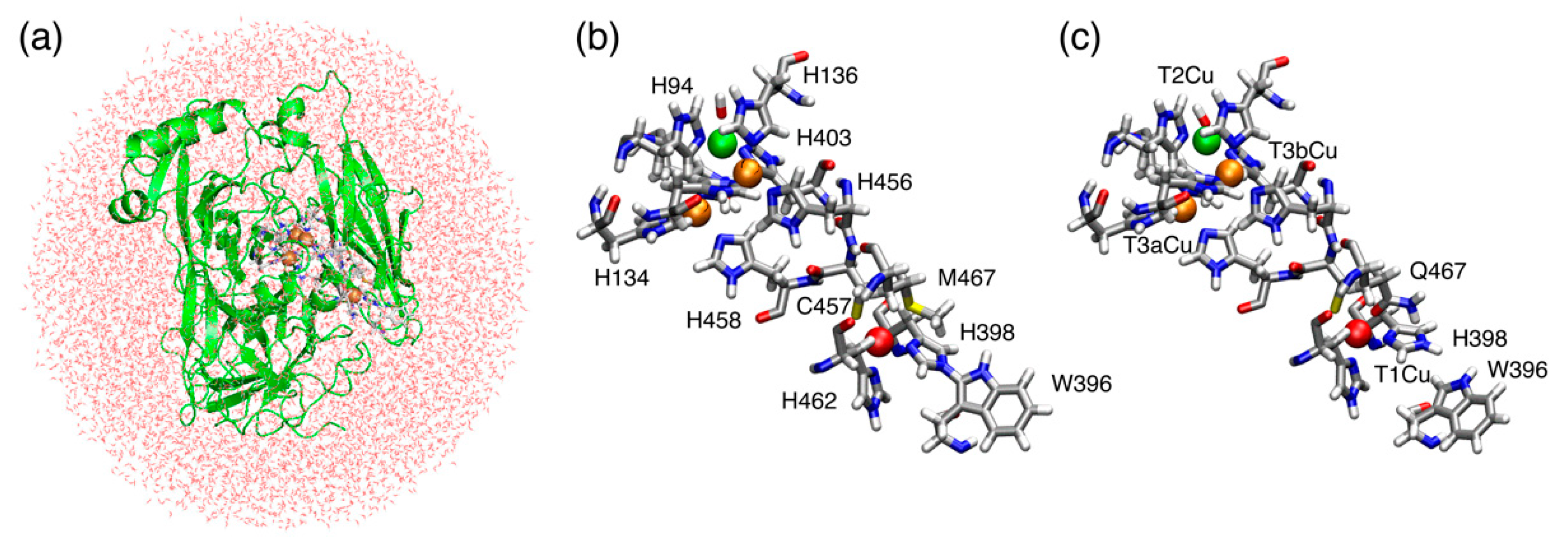 Molecules 24 00076 g002