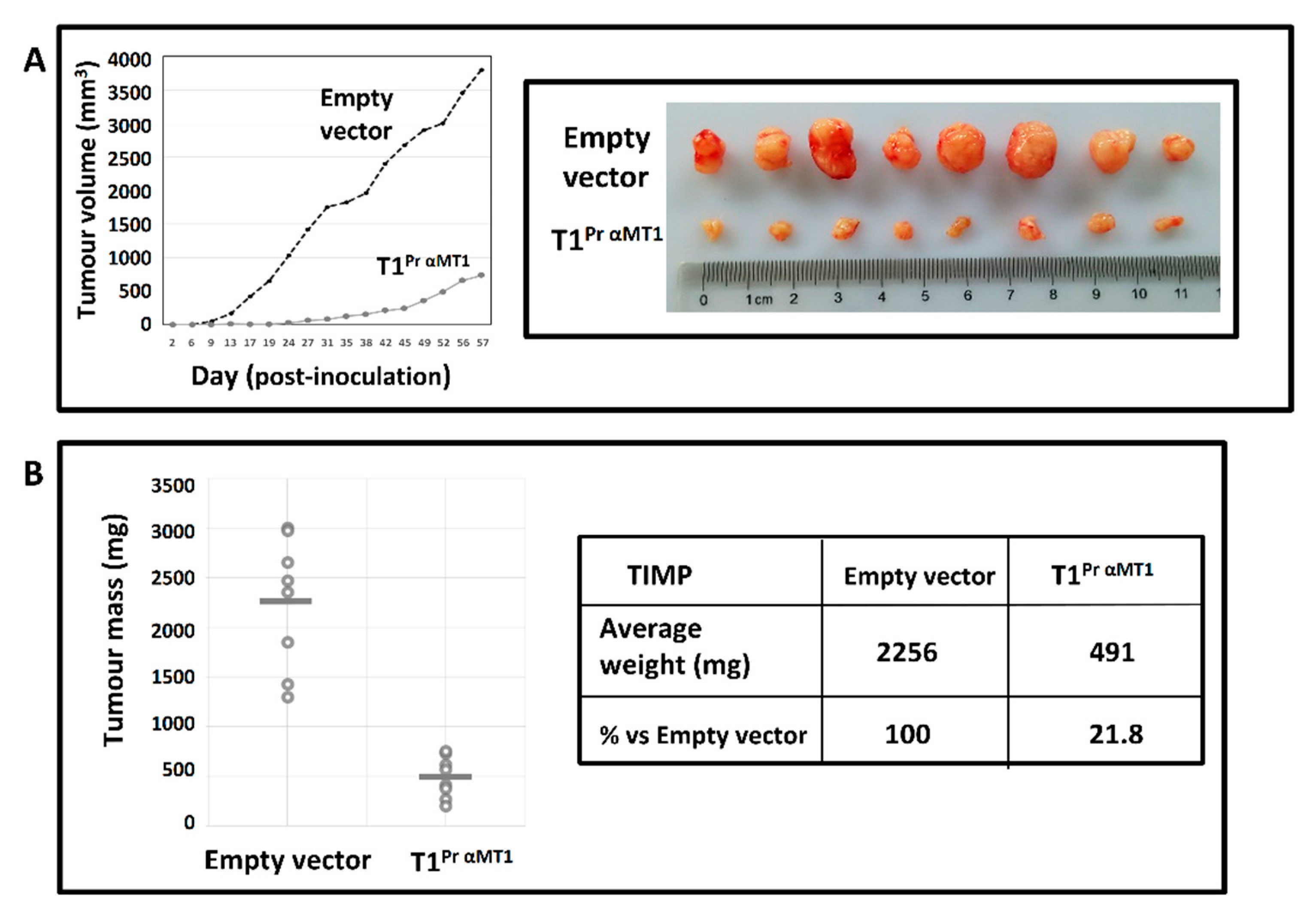 Molecules 24 00255 g007