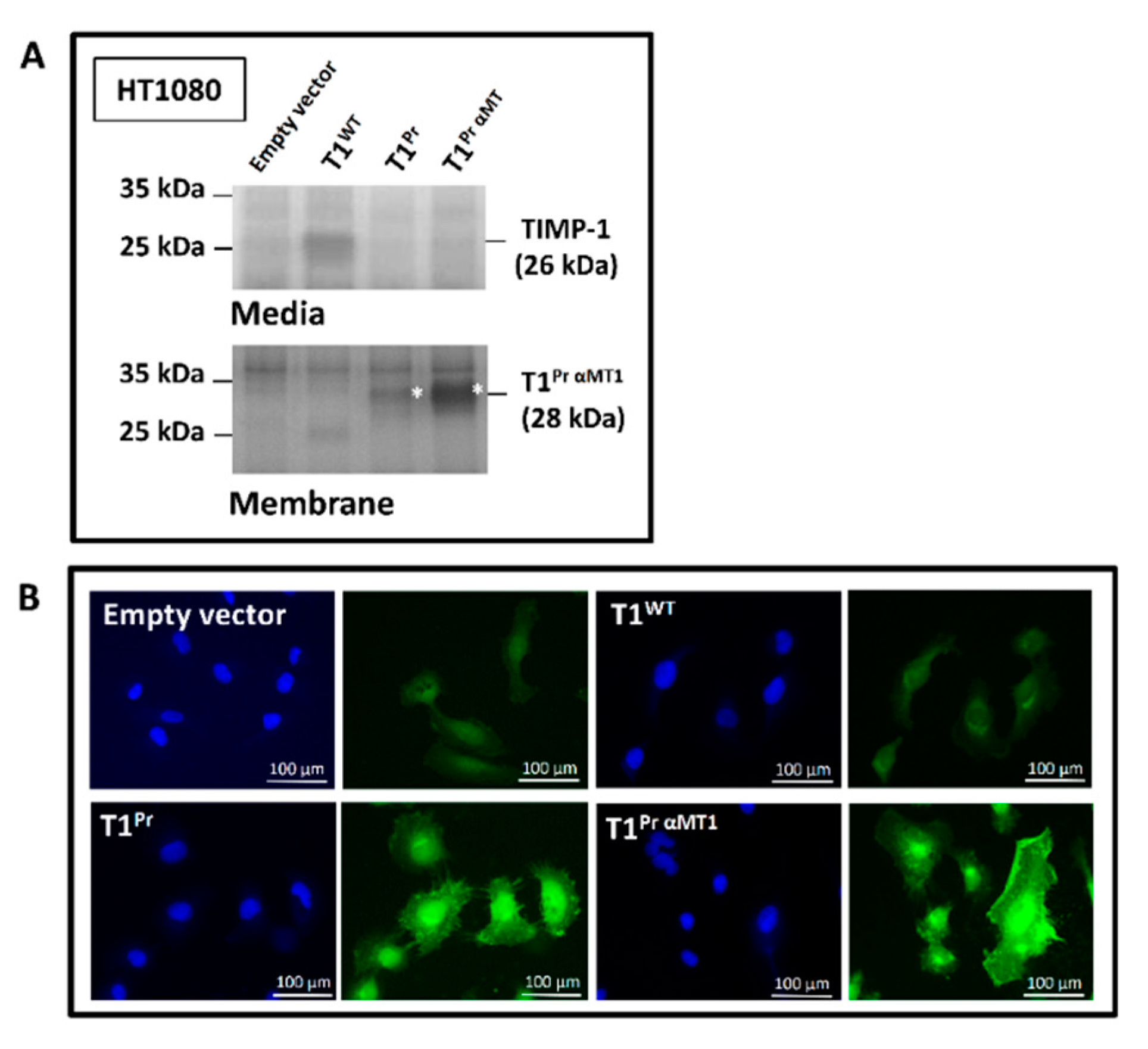 Molecules 24 00255 g0a1