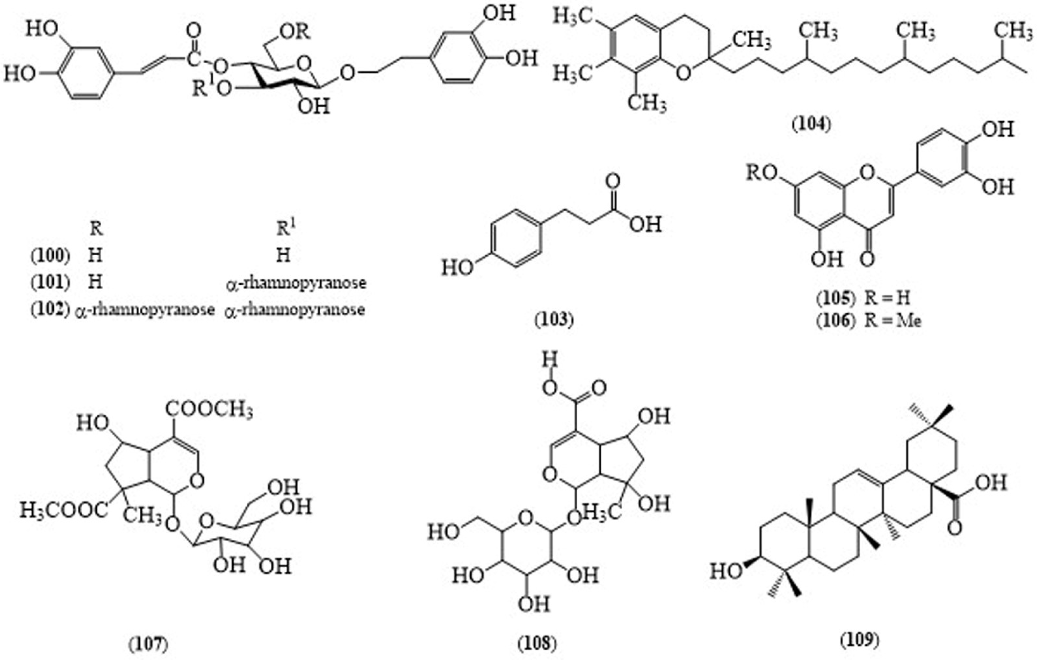 Molecules 24 00293 g009 Molecules 24 00293 g009