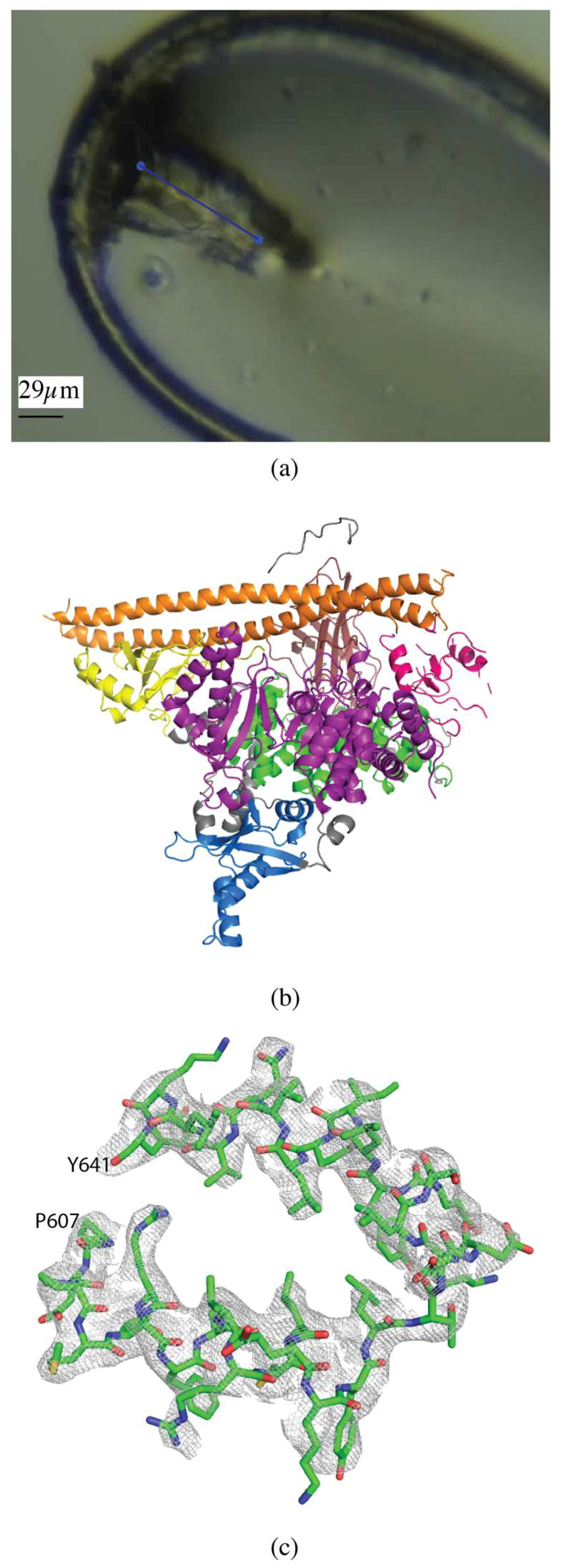 Molecules 24 00496 g002