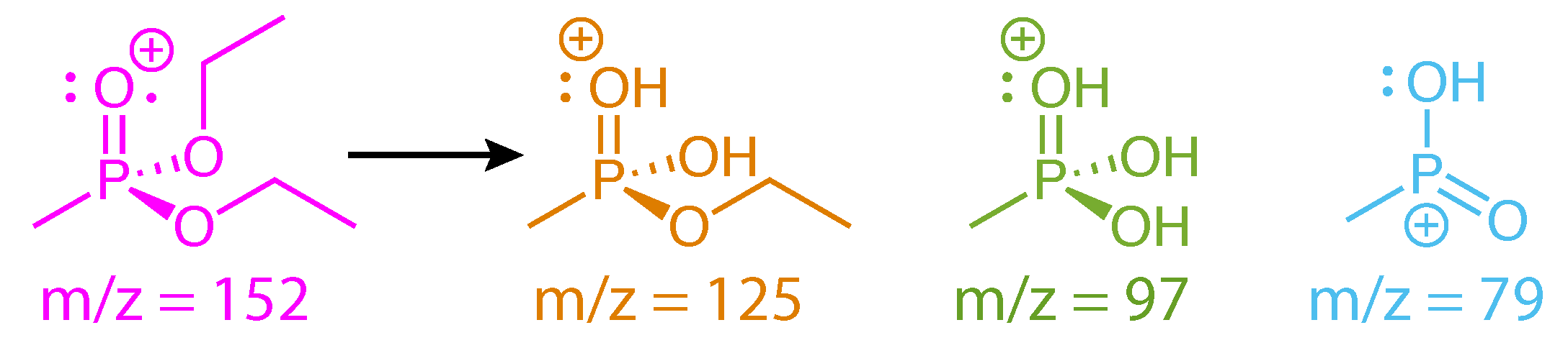 Molecules 24 00509 sch004