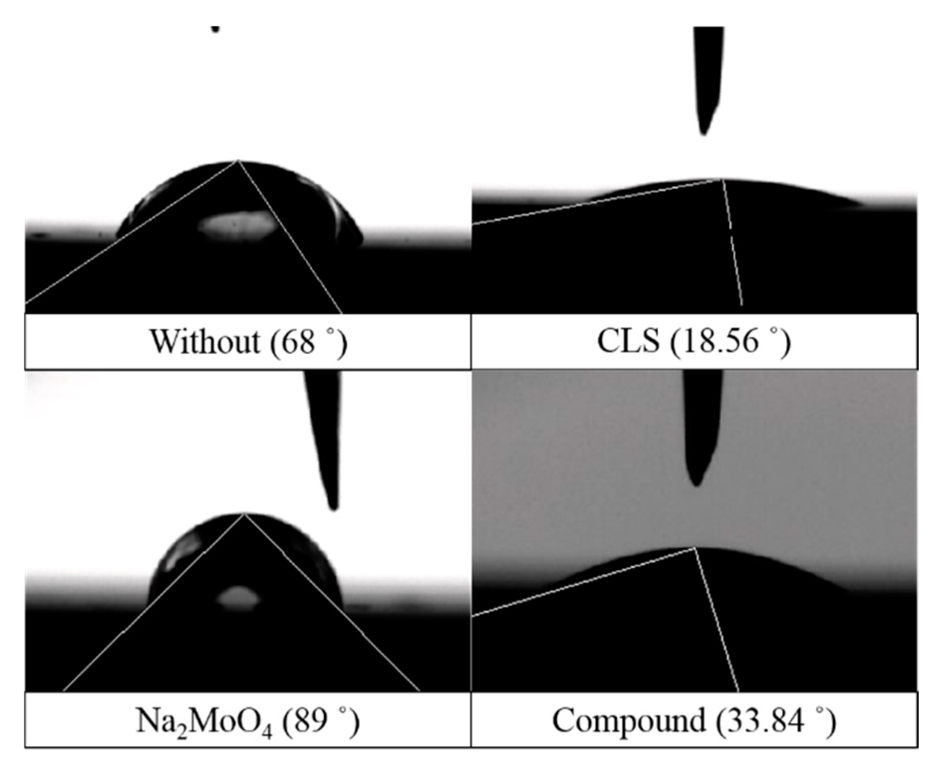 Molecules 24 00518 g012