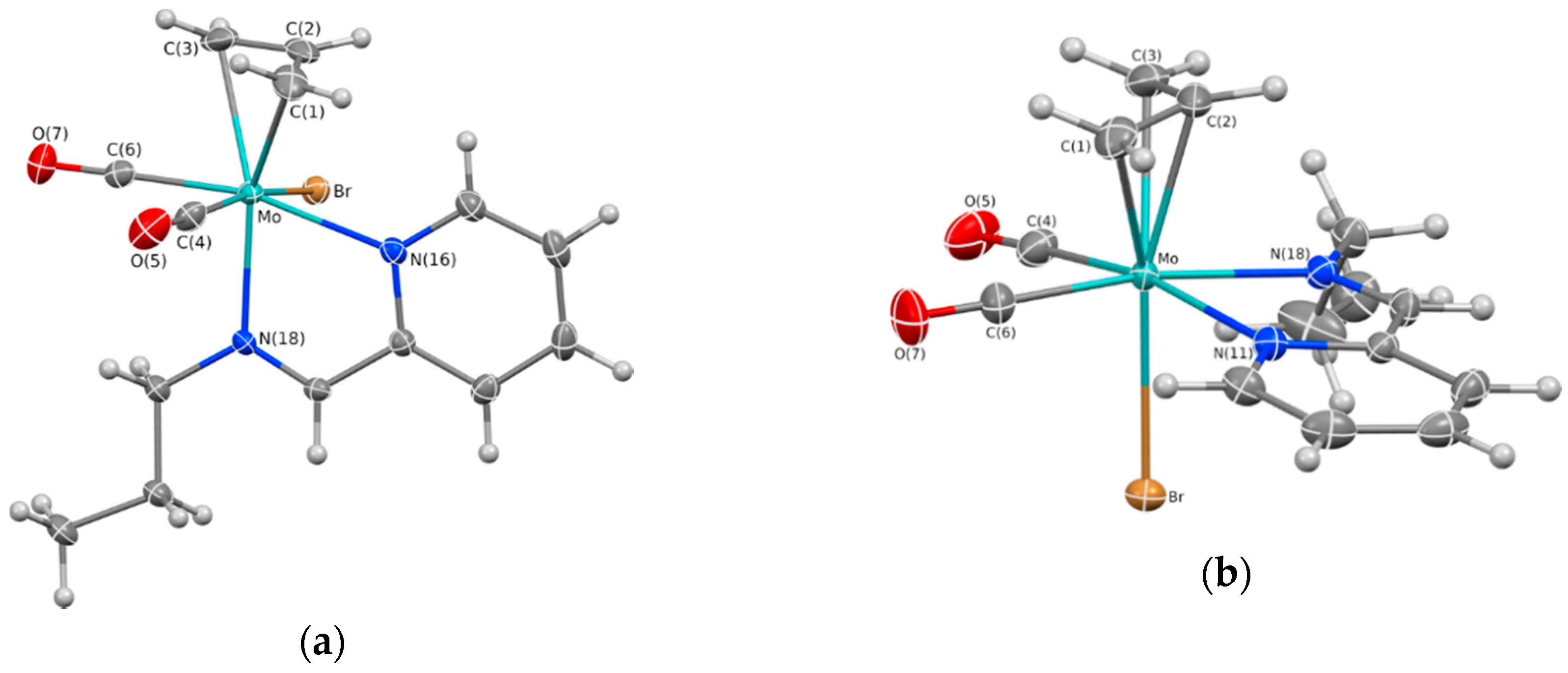Molecules 24 00578 g001