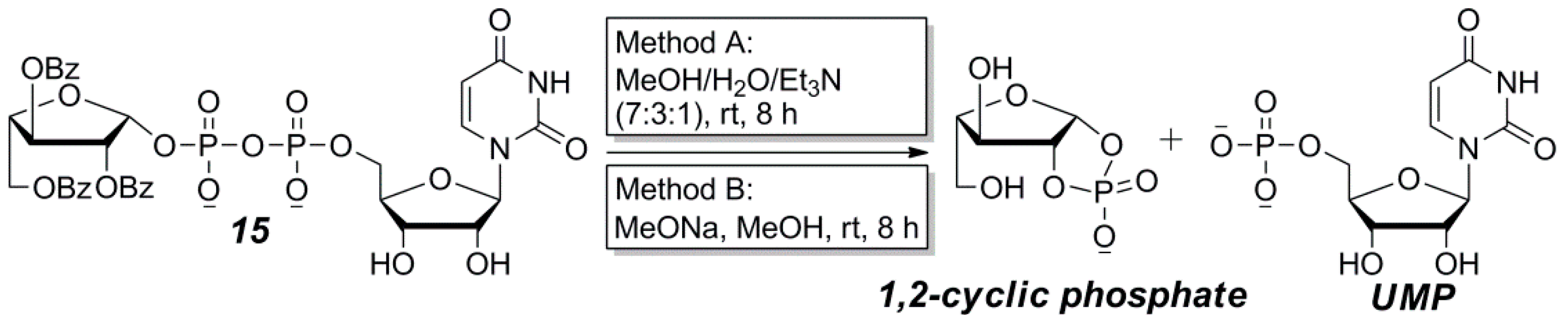 Molecules 24 00655 sch002
