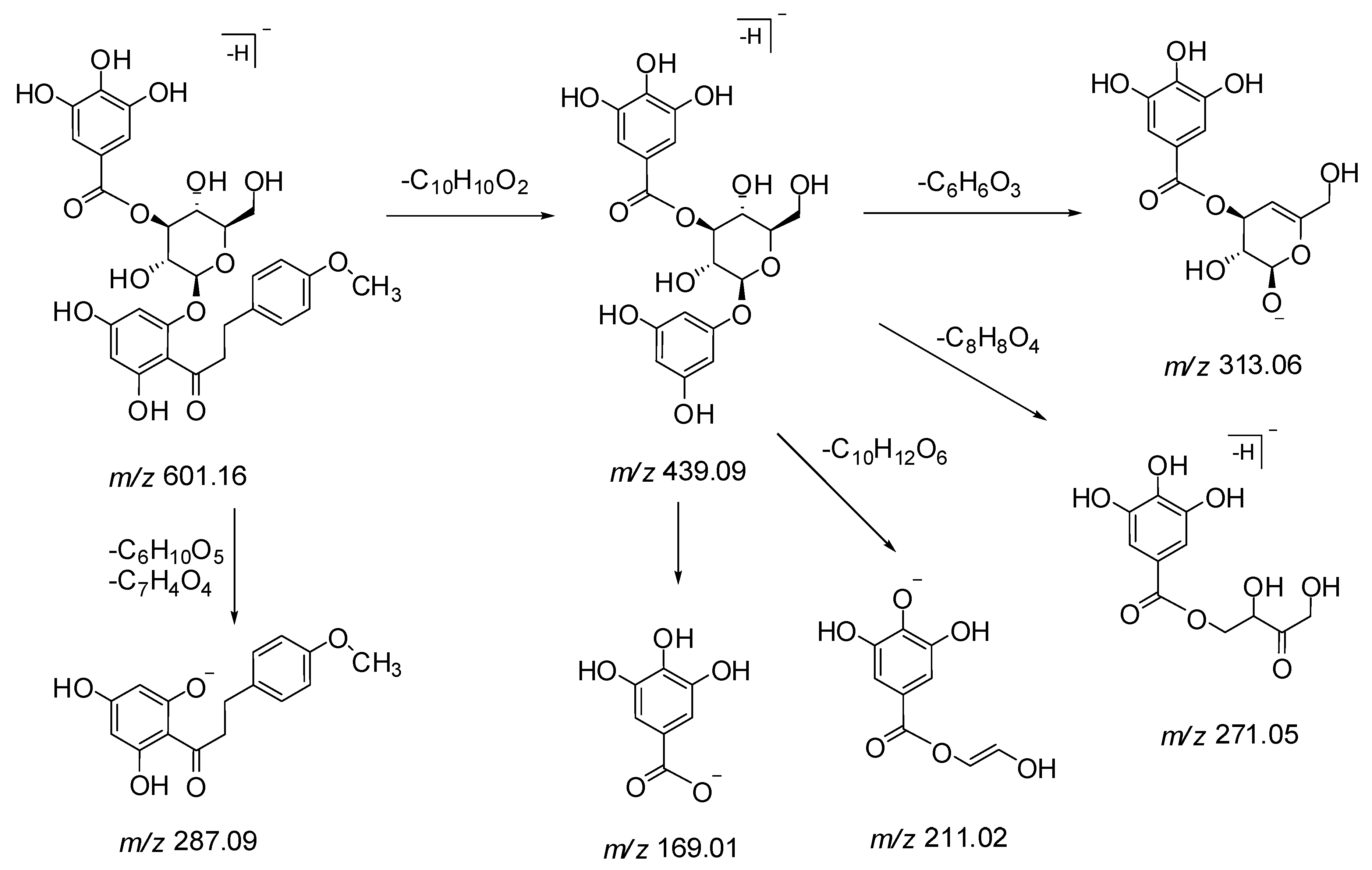 Molecules 24 00714 sch003 Molecules 24 00714 sch003