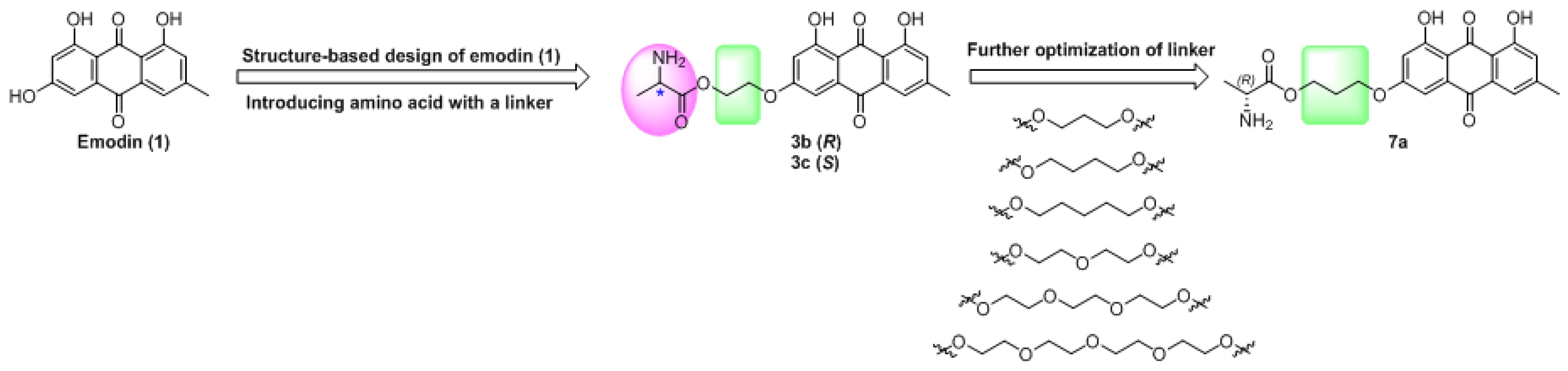 Molecules Free Full Text Design And Synthesis Of Novel Anti