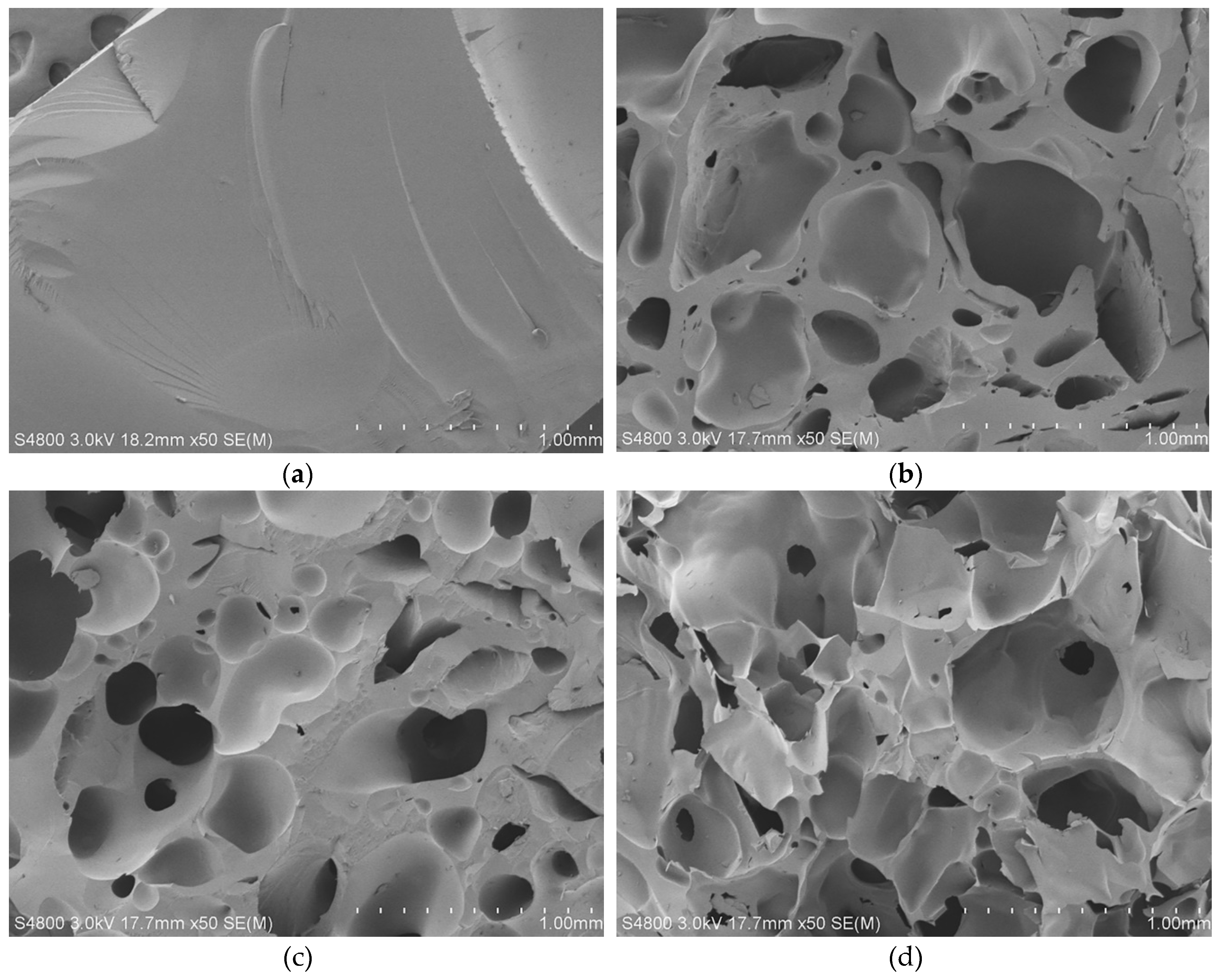 Molecules 24 00957 g005