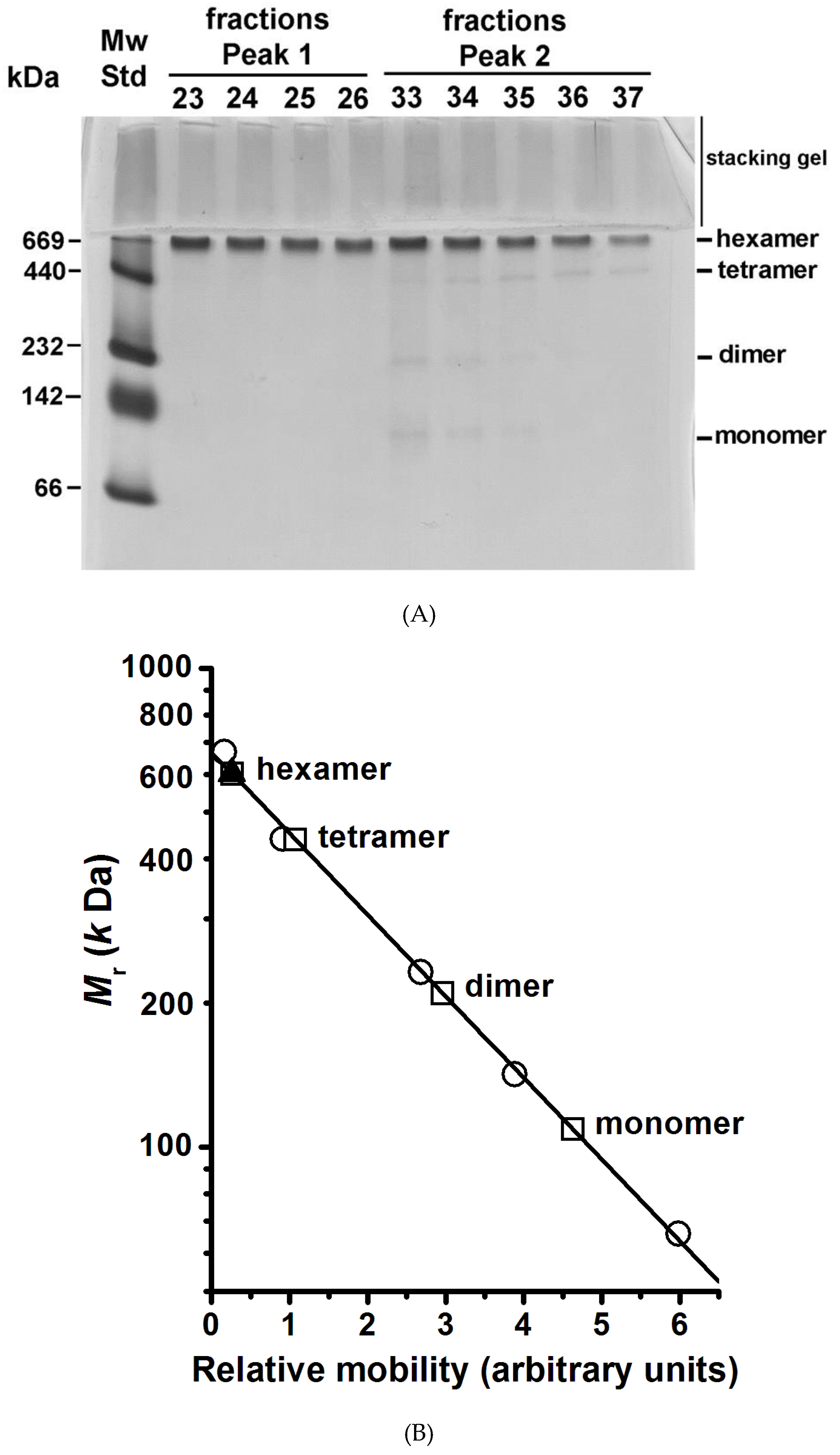 Molecules 24 00958 g003
