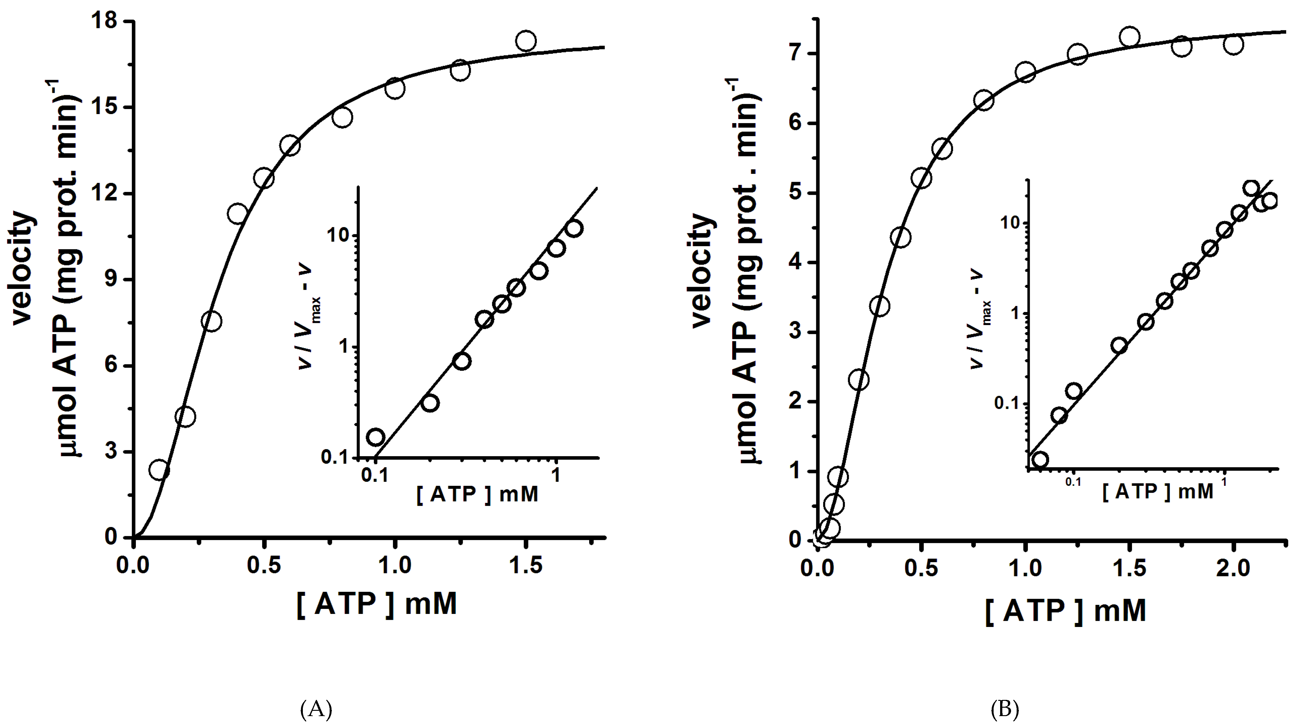 Molecules 24 00958 g006