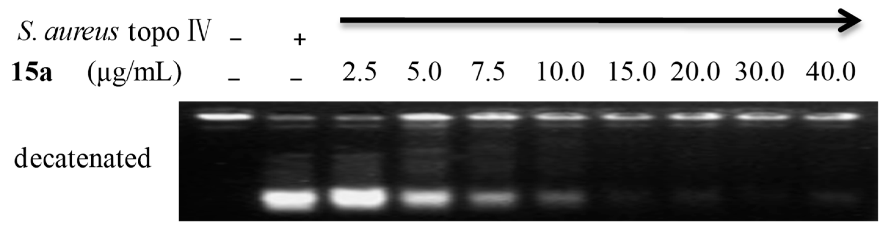 Molecules 24 00984 g003 Molecules 24 00984 g003