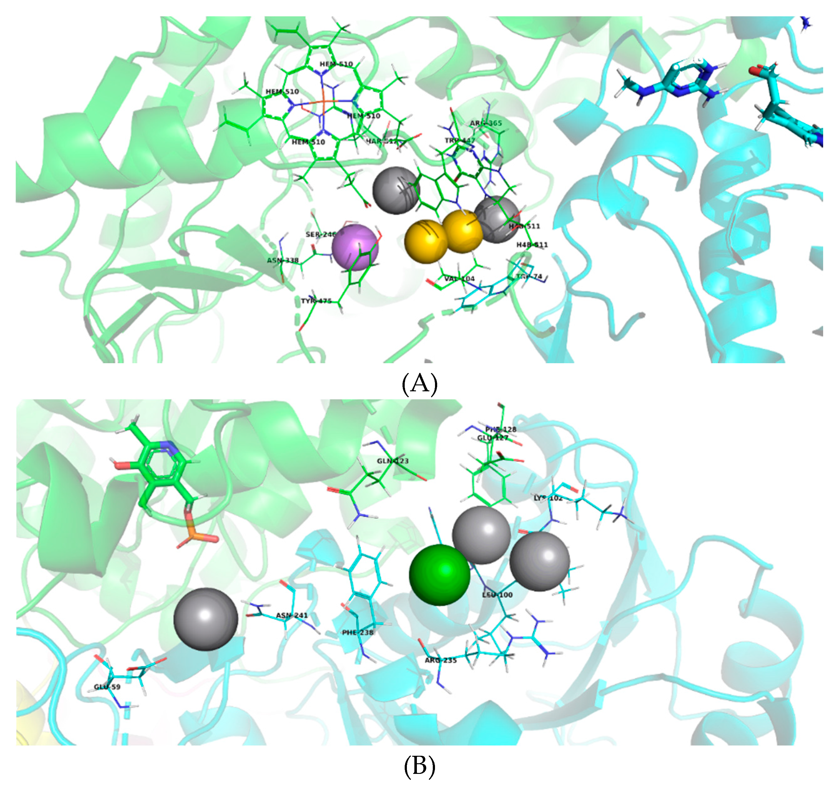 Molecules 24 00987 g005 Molecules 24 00987 g005