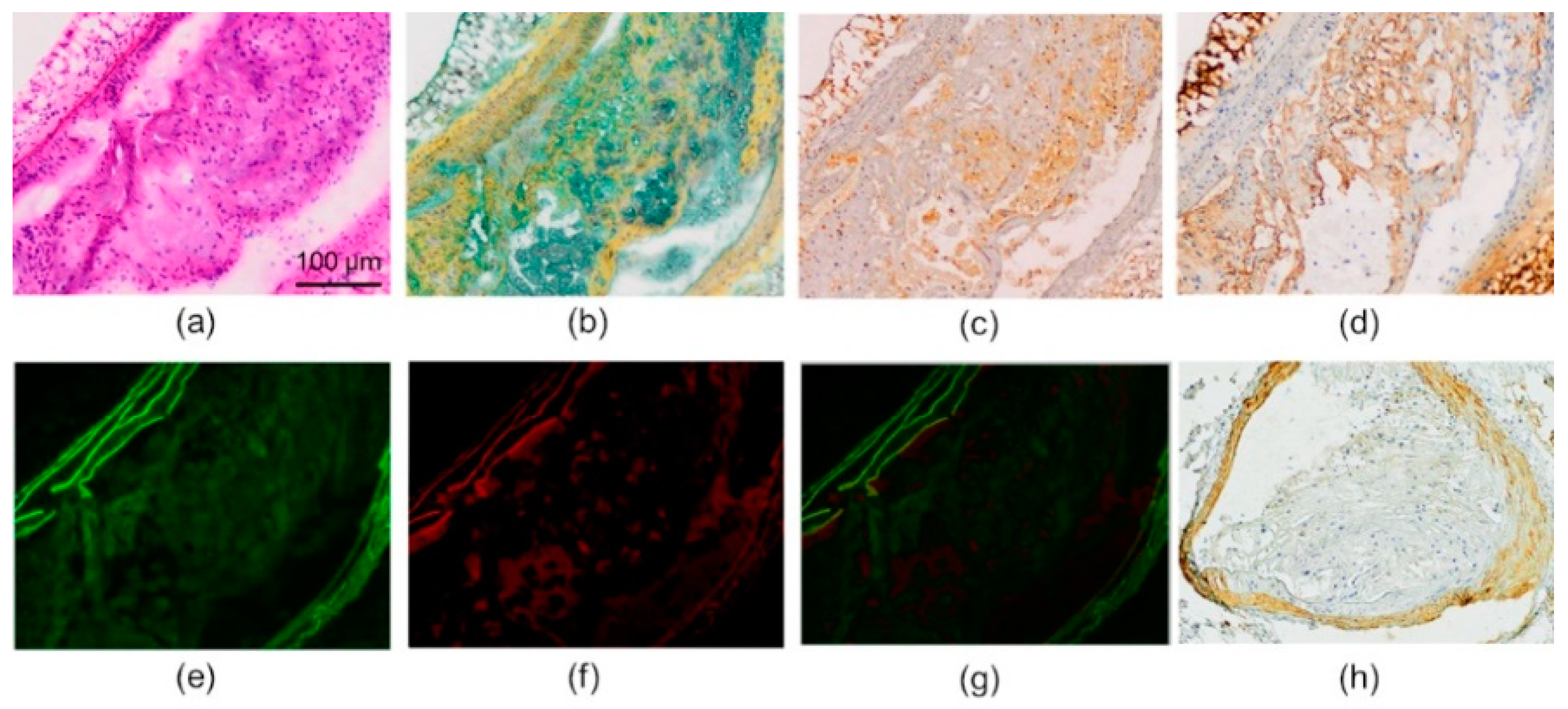 Molecules 24 01072 g004