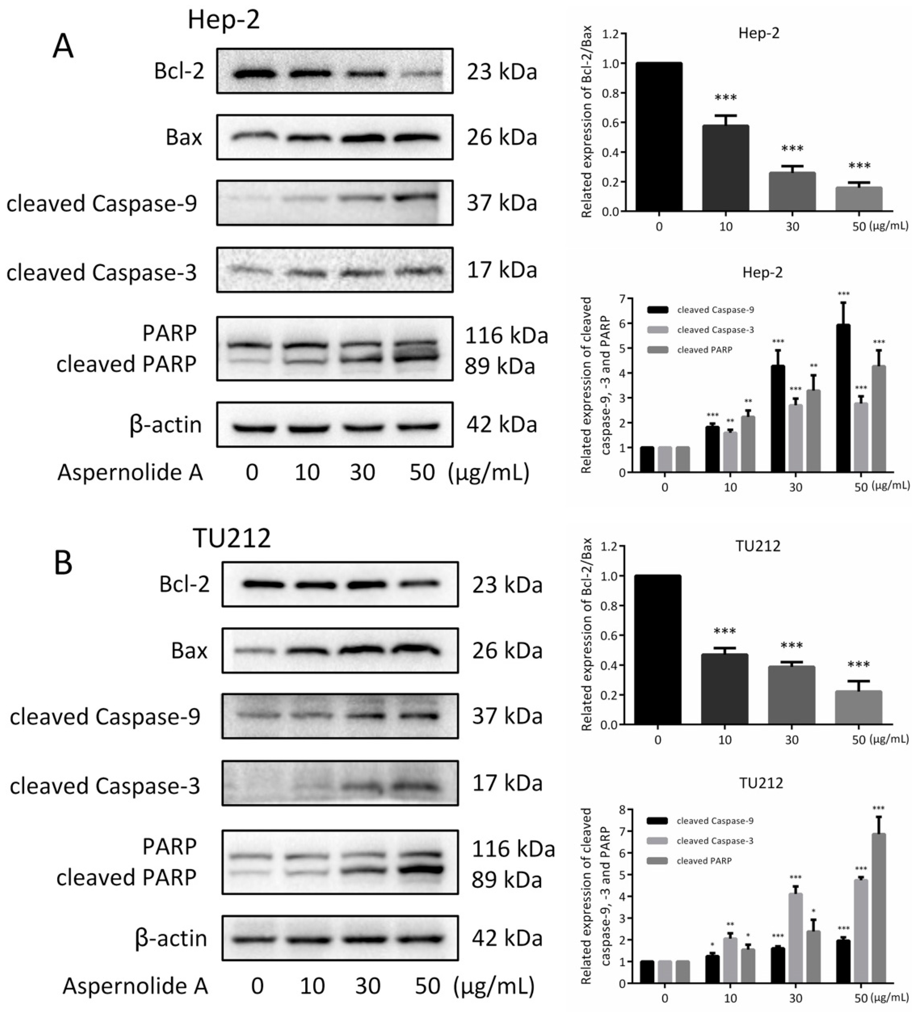 Molecules 24 01074 g005