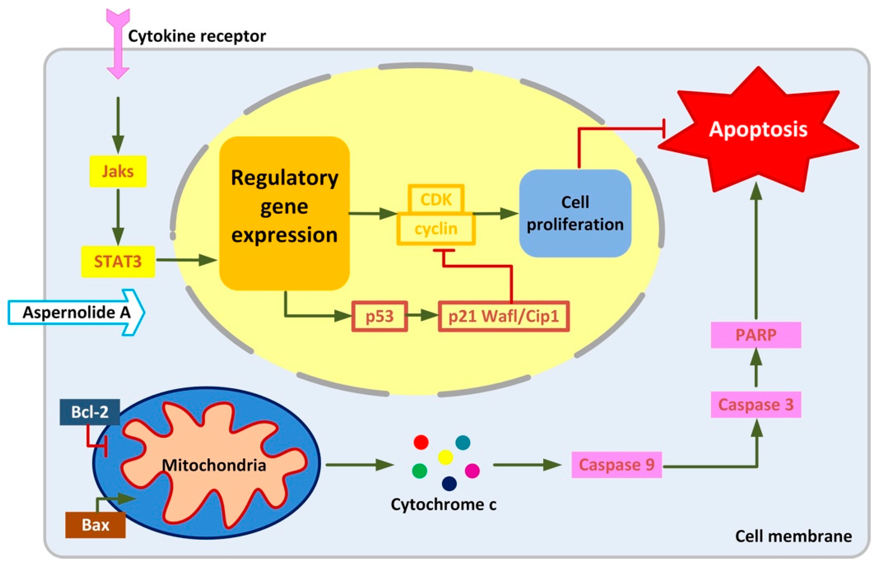 Molecules 24 01074 g008