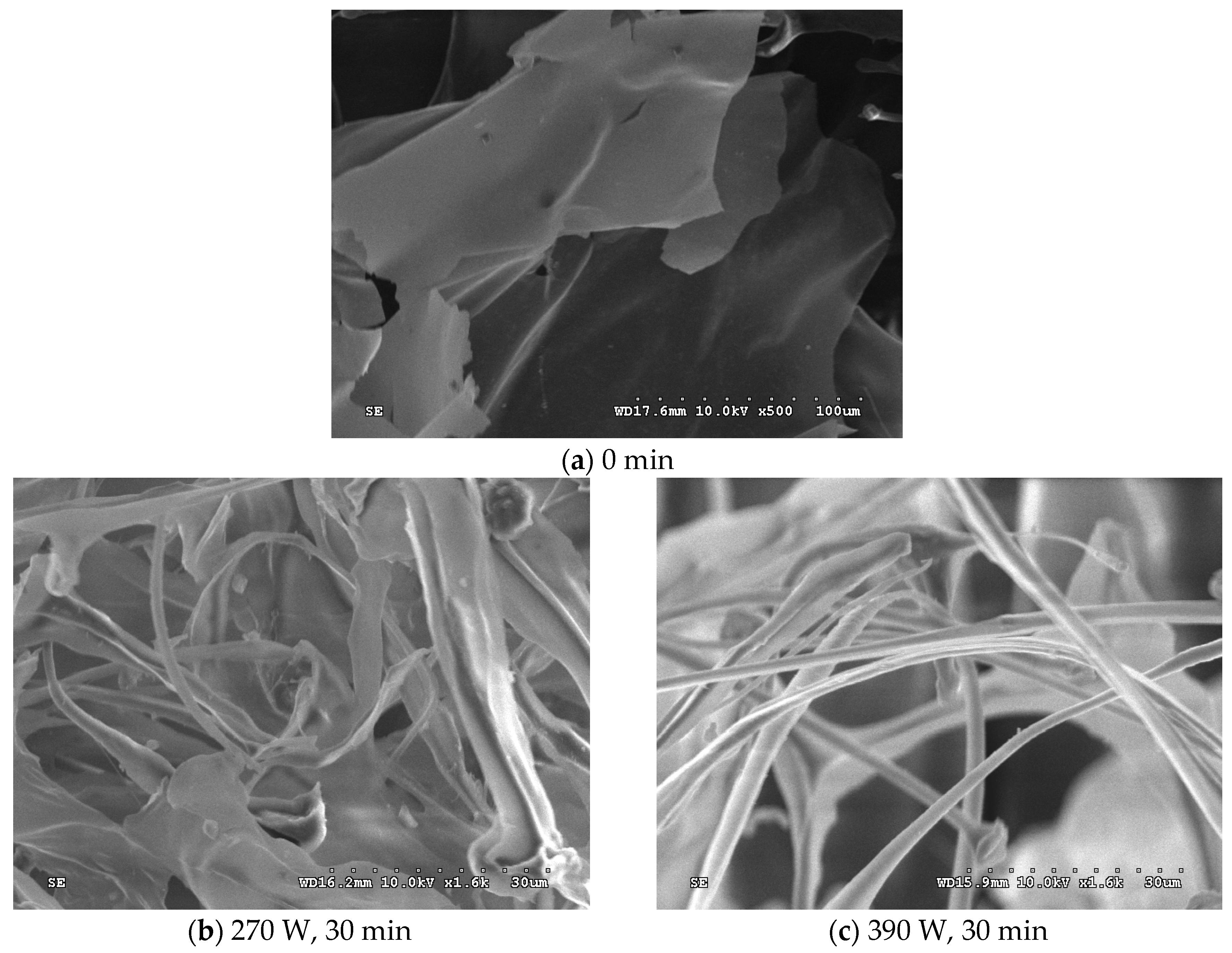 Molecules 24 01097 g004