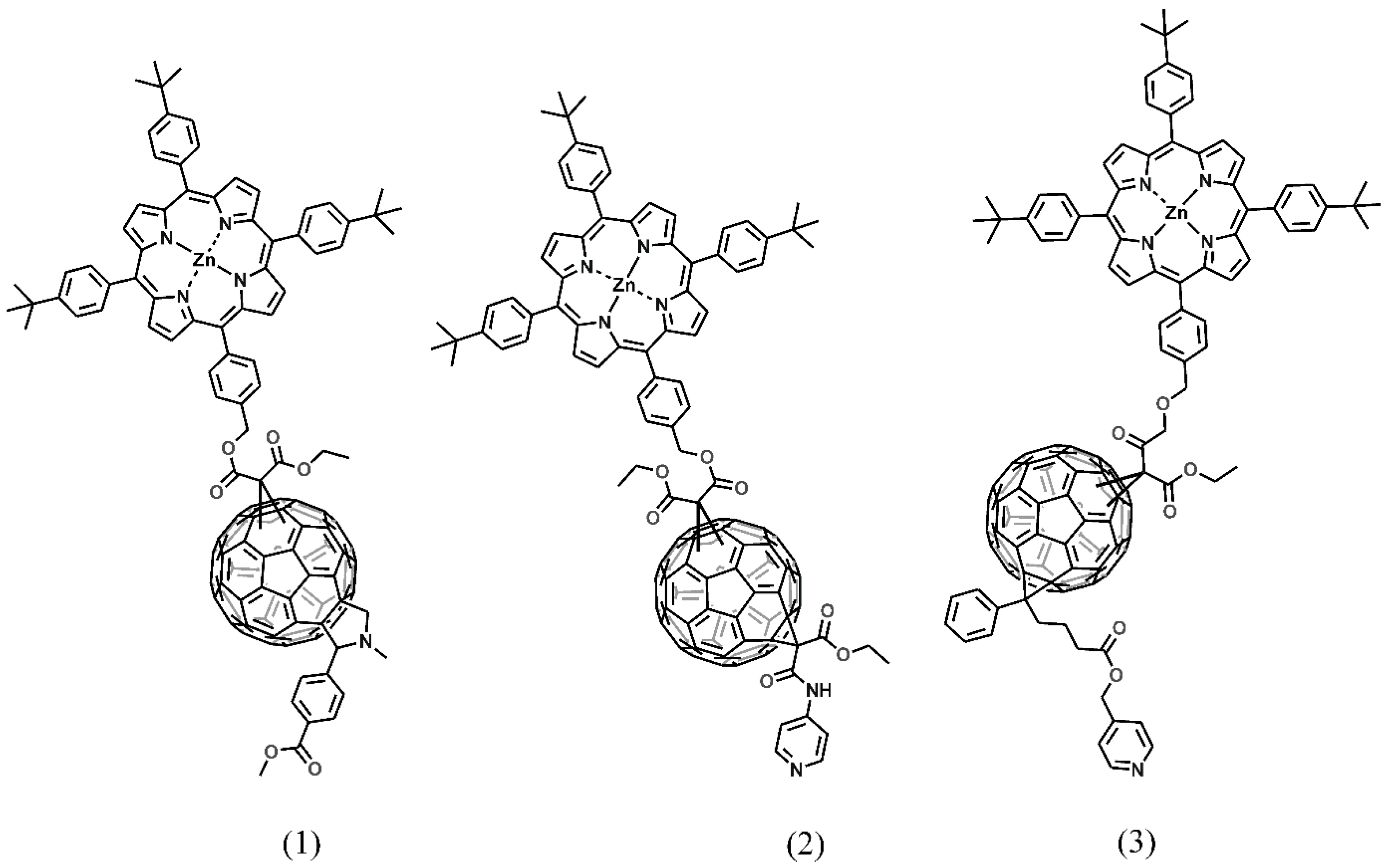 Molecules 24 01118 g001
