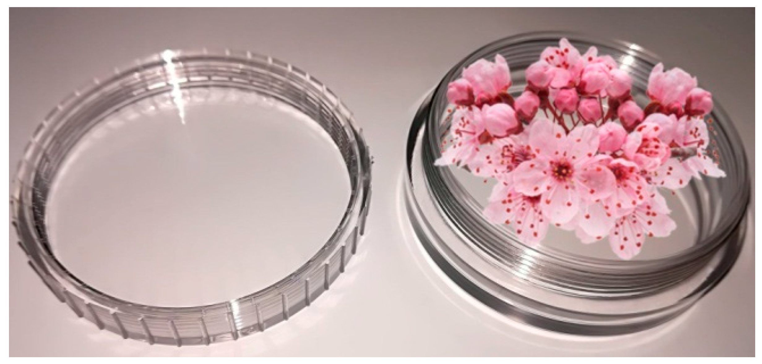 Molecules 24 01144 g001