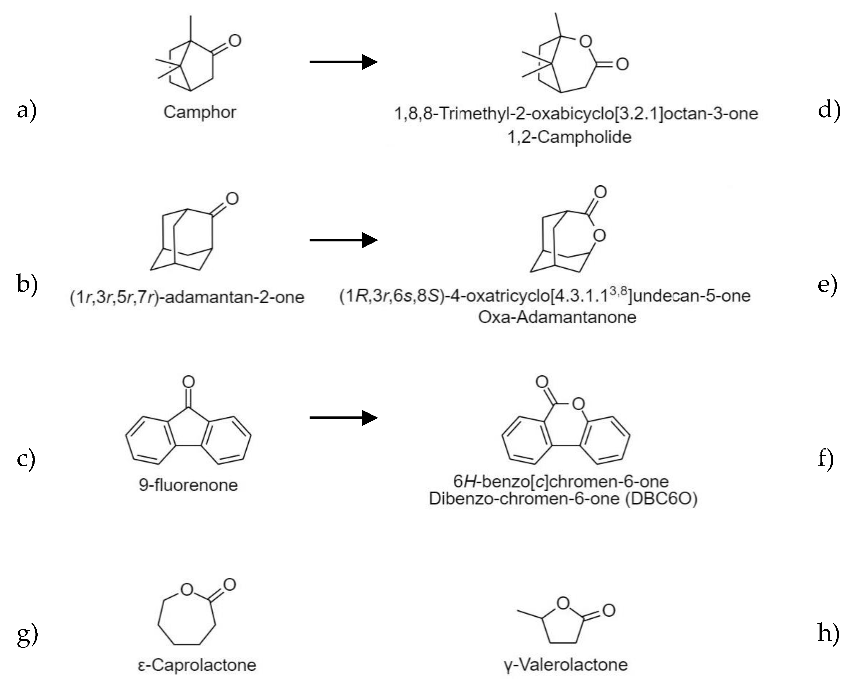 Molecules 24 01300 g0a1