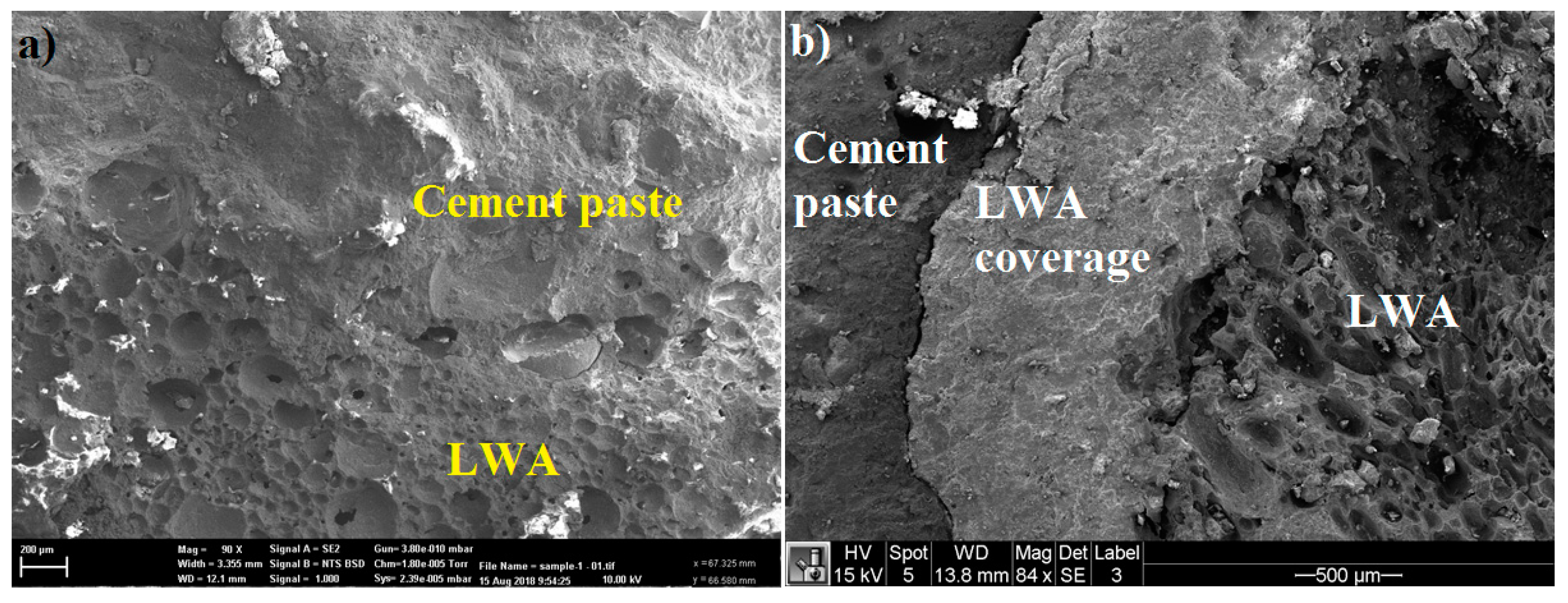 Molecules 24 01360 g006