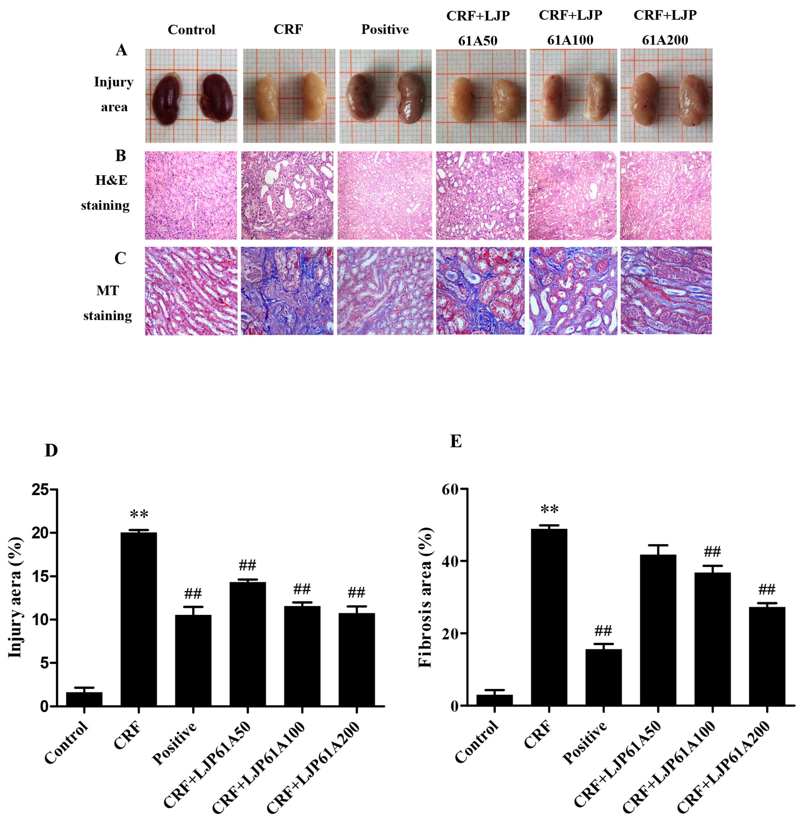 Molecules 24 01491 g003 Molecules 24 01491 g003