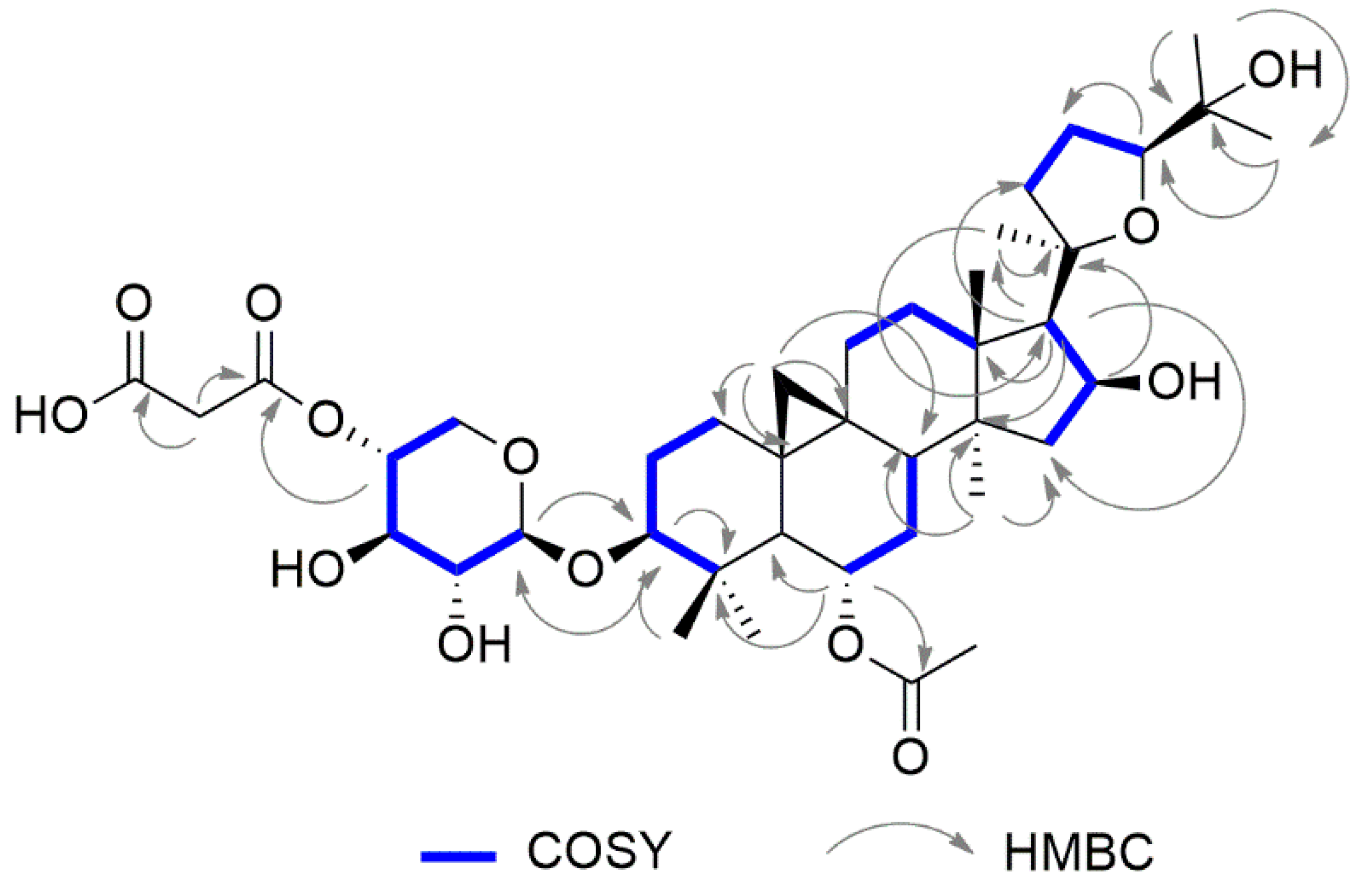 Molecules 24 01725 g002
