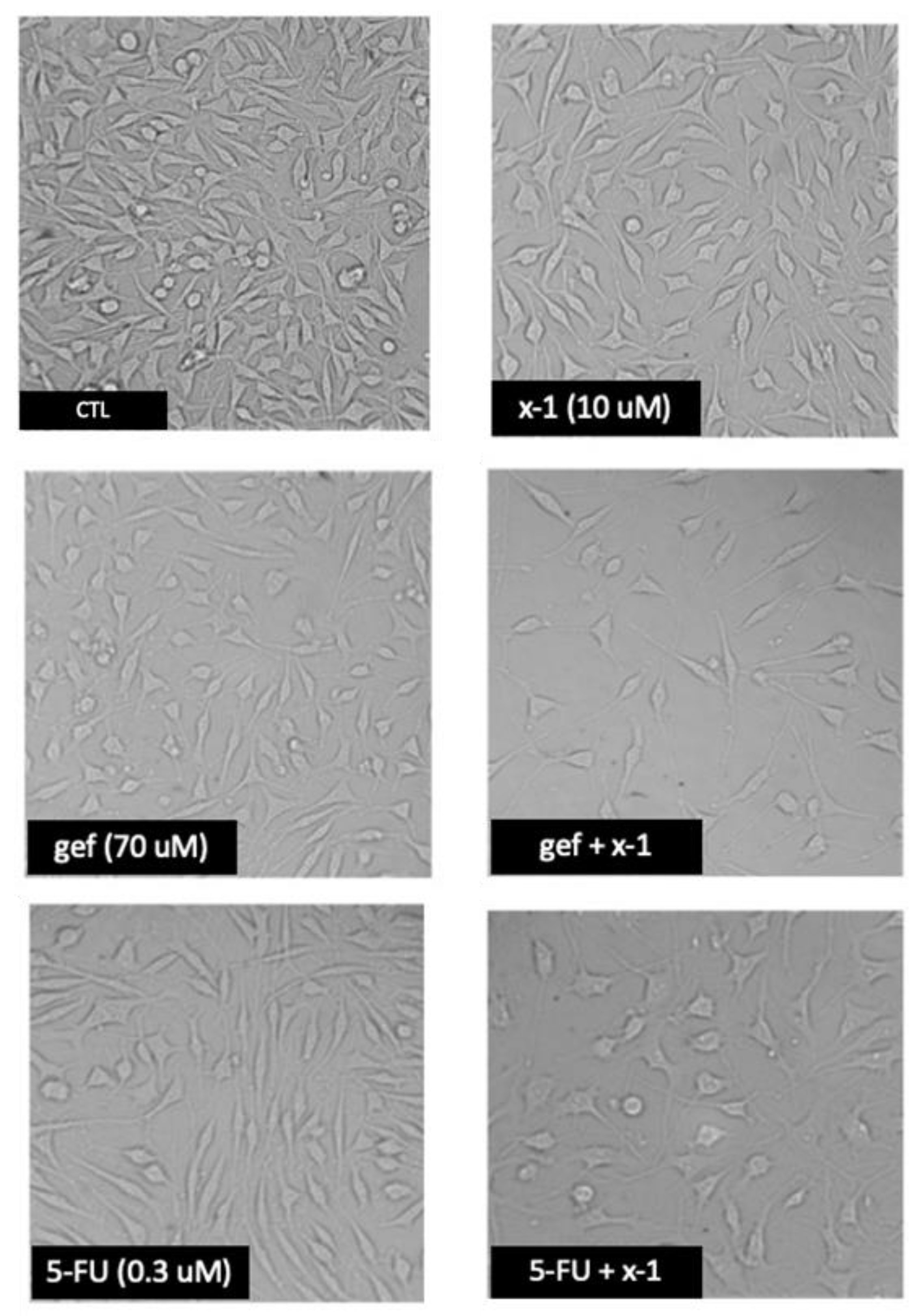 Molecules 24 01751 g006