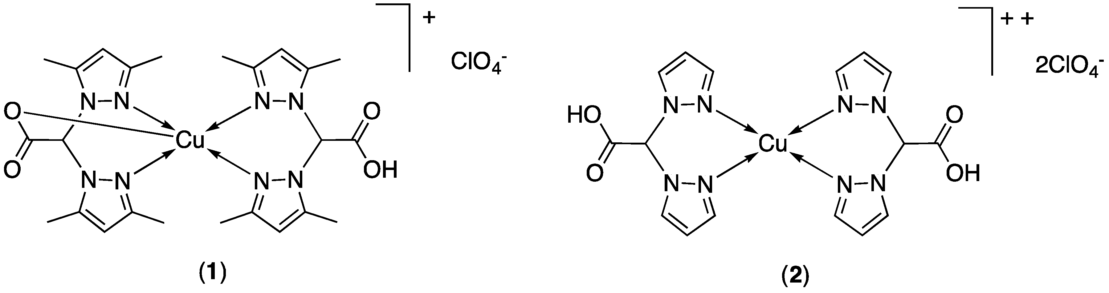 Molecules 24 01761 g001