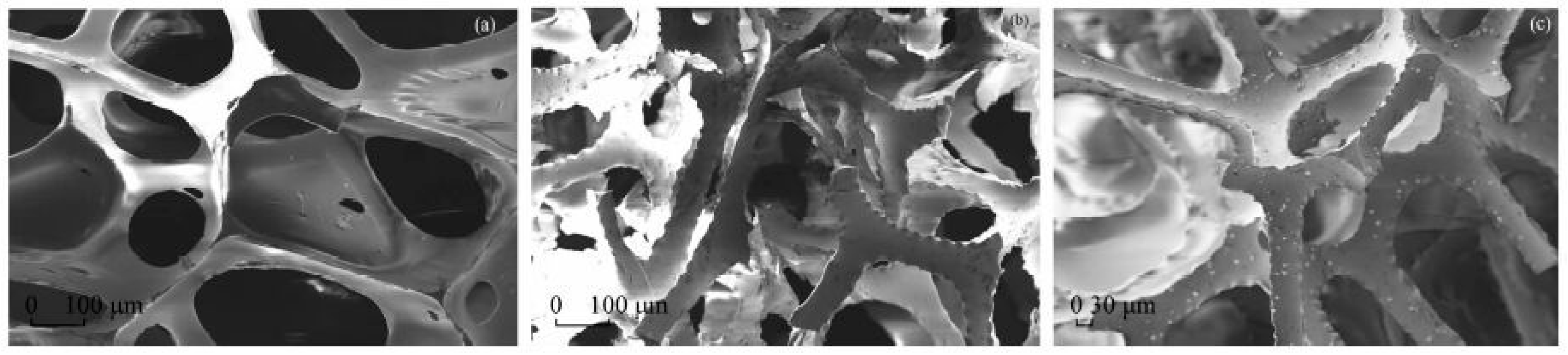 Molecules 24 01778 g005