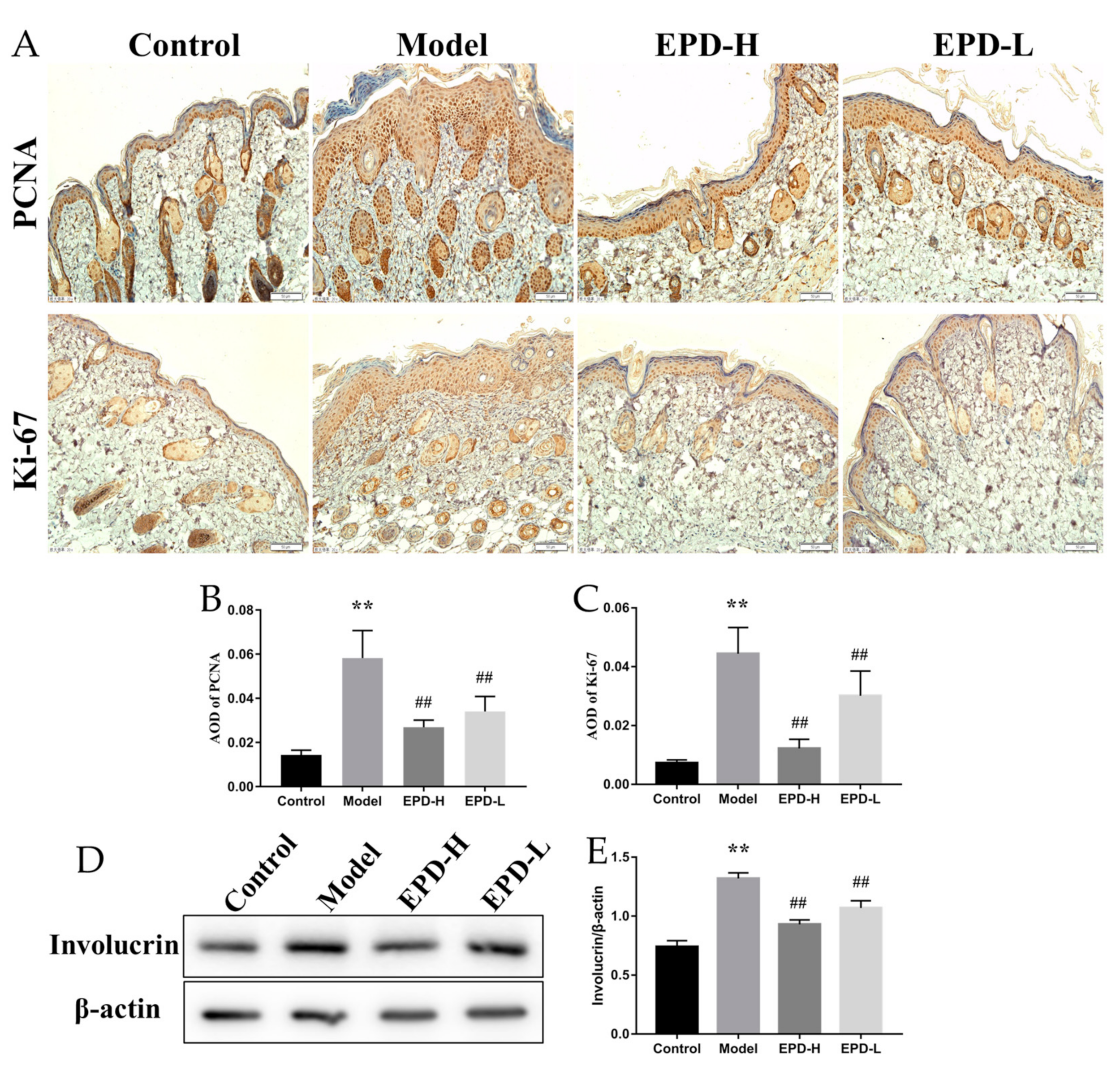 Molecules 24 02157 g002