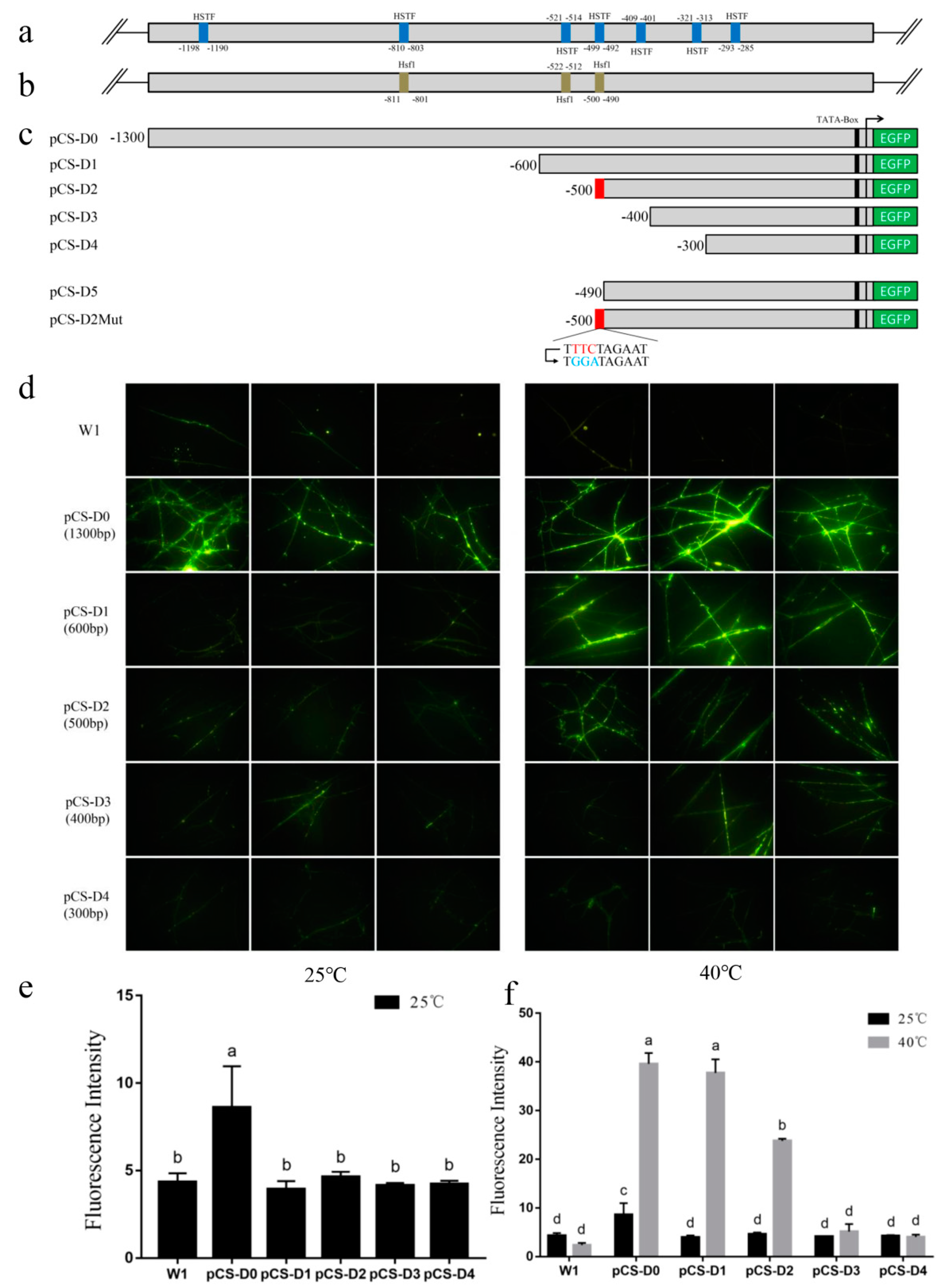 Molecules 24 02223 g002