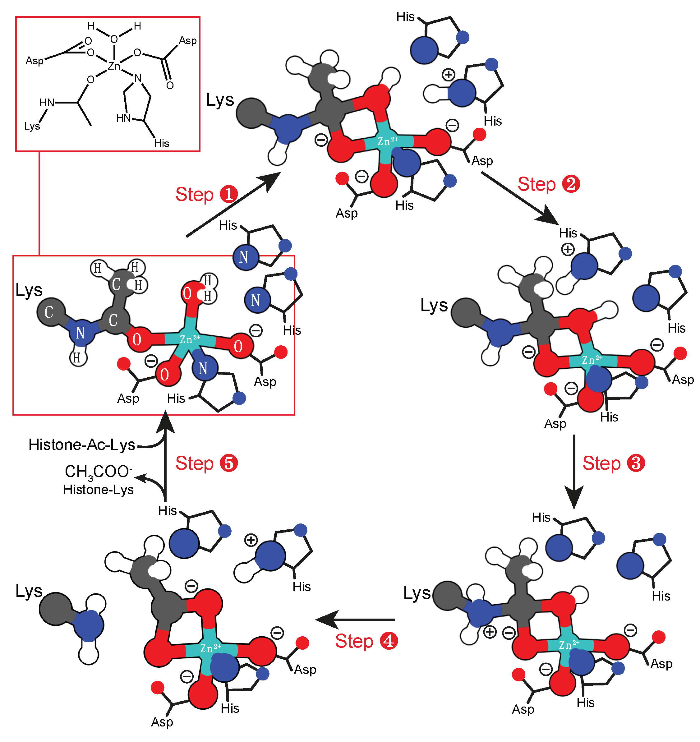 Molecules 24 02462 sch002