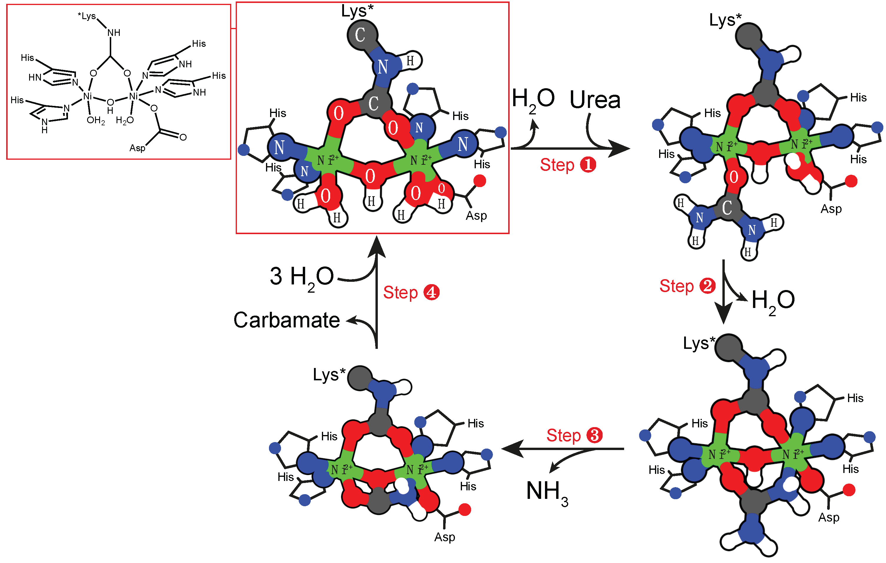 Molecules 24 02462 sch004
